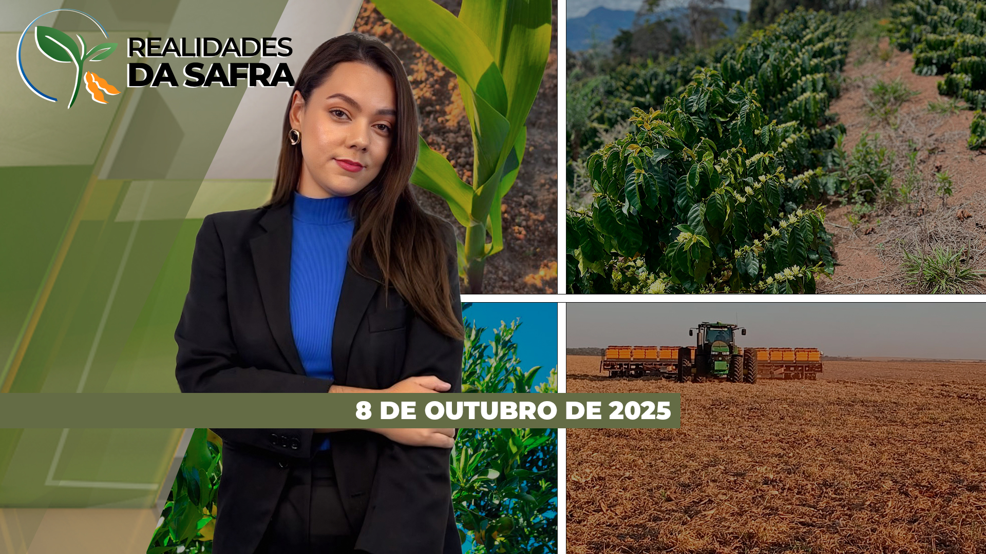 Produtores do MT aguardam o retorno das chuvas para concluir o plantio; especialistas alertam que o manejo inicial de pragas e doenças é decisivo para