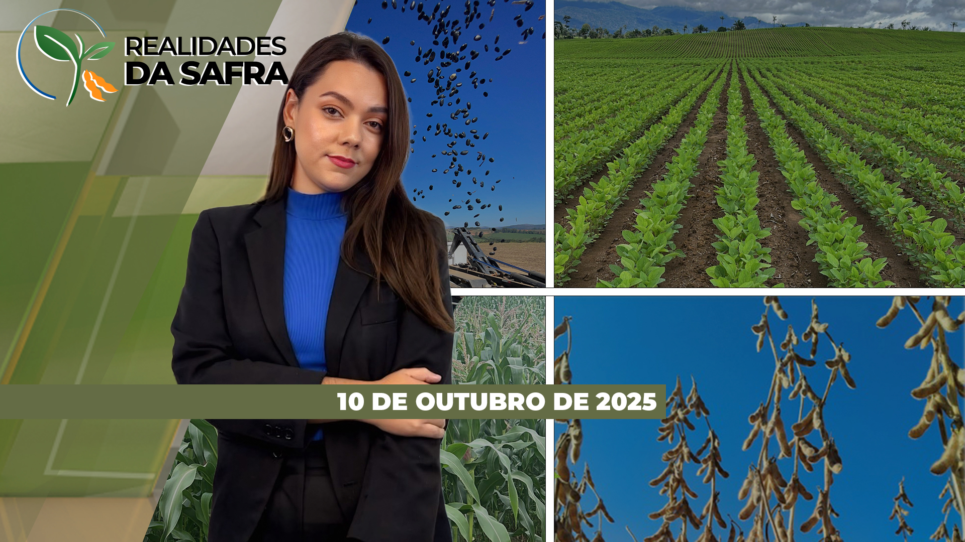 Clima impacta andamento do plantio da soja em Tapurah/MT e Doutor Camargo/PR, enquanto o girassol ganha destaque como alternativa produtiva e resisten