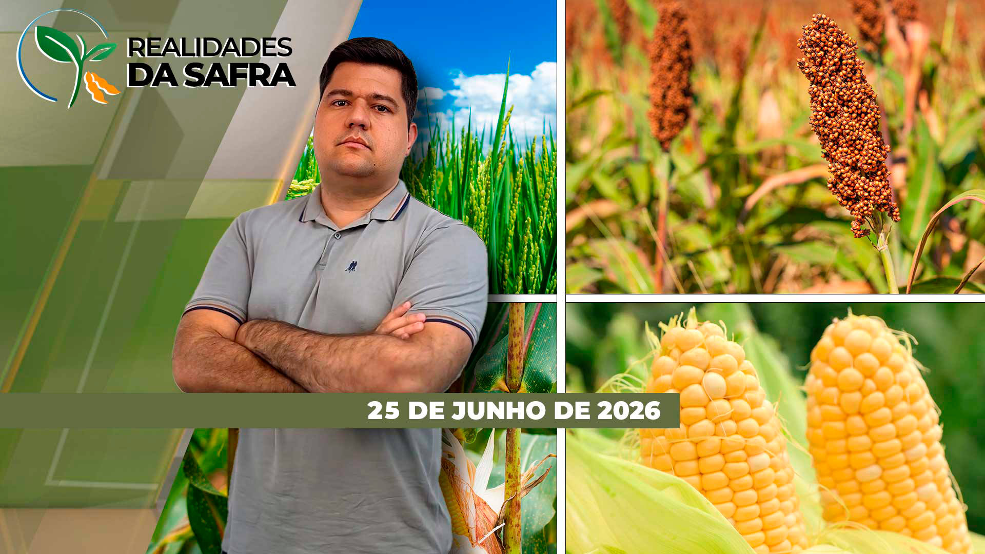 Colheita do milho está atrasada no Paraná e em Primavera do Leste/MT