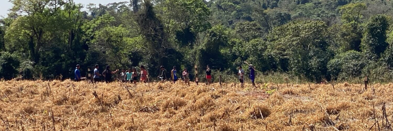 Sistema FAEP repudia nova invasão de terra no Oeste do Paraná