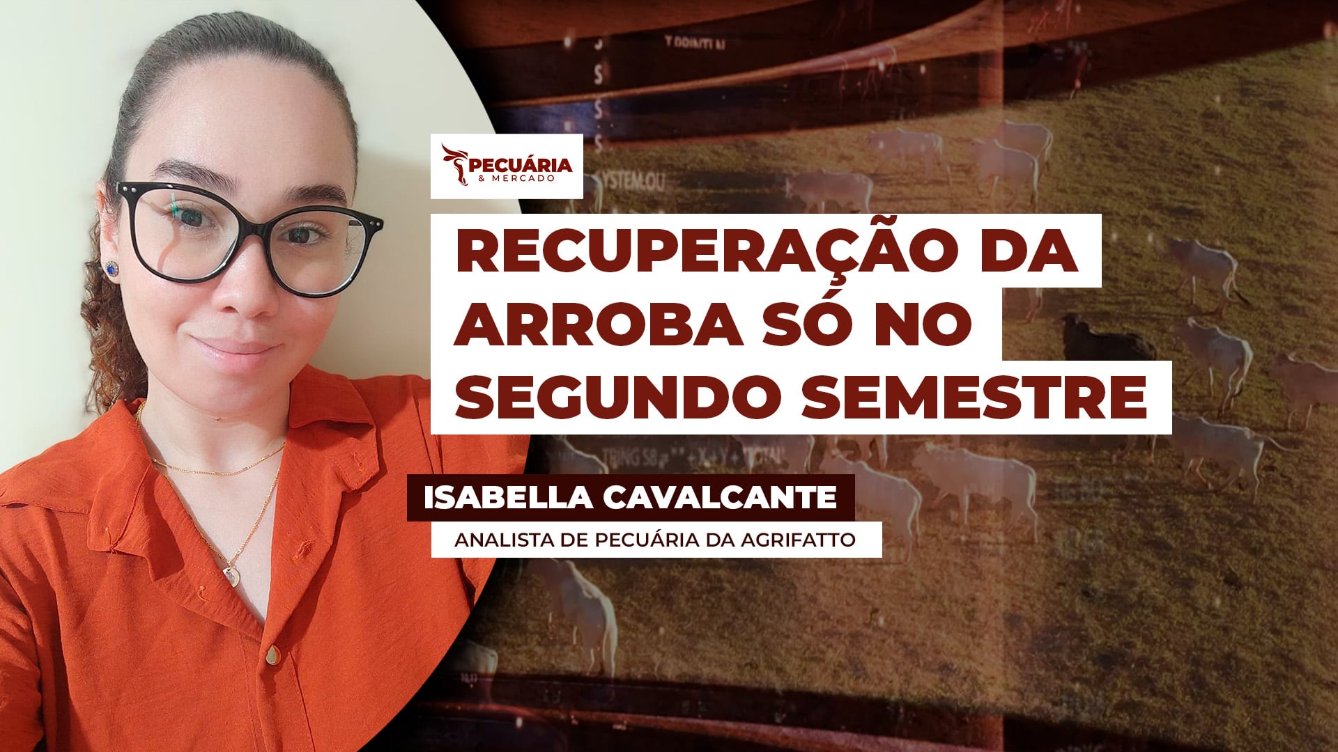 Movimento de queda da arroba deve seguir nos próximos meses, mas cenário para o segundo semestre é favorável para os preços