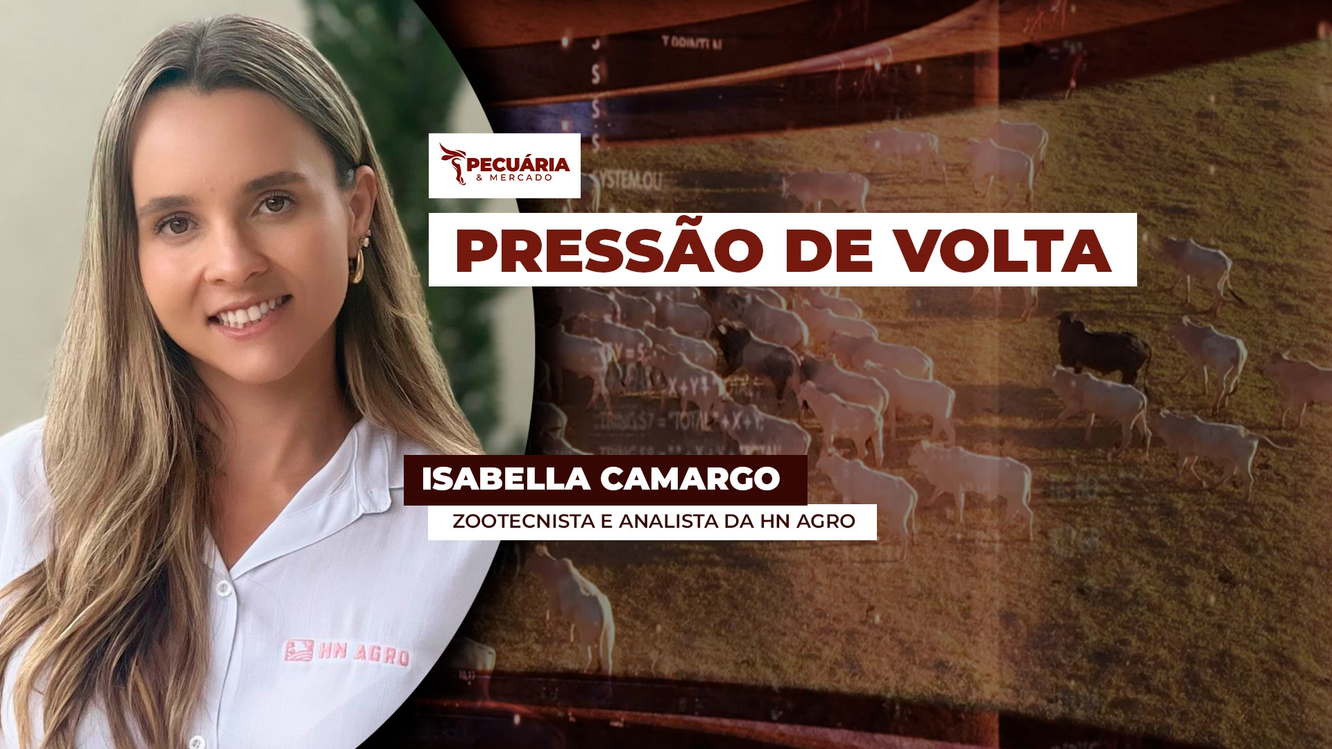 Aumento da oferta e alongamento das escalas promovem nova rodada de queda na arroba