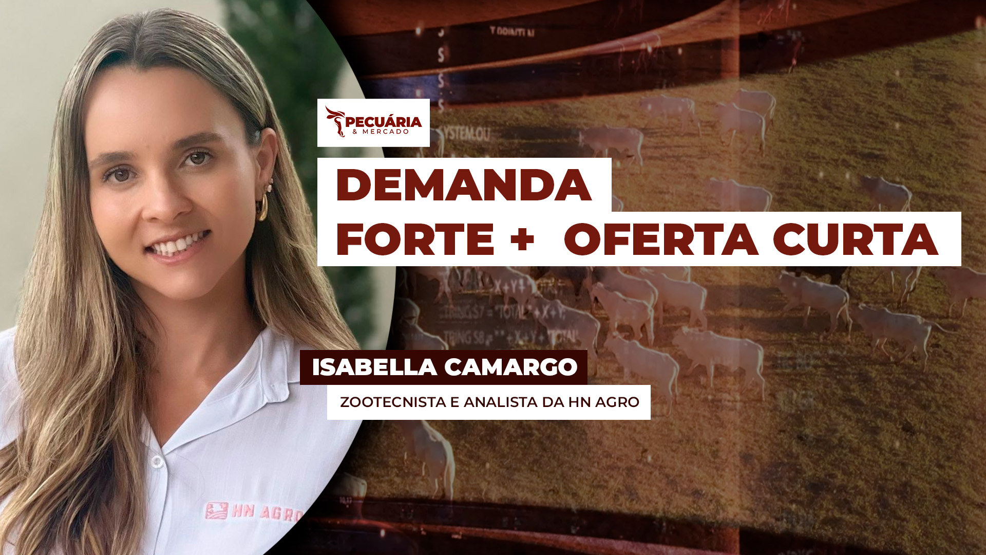 Demanda forte no mercado interno e na exportação e a menor oferta de fêmeas, impulsiona arroba