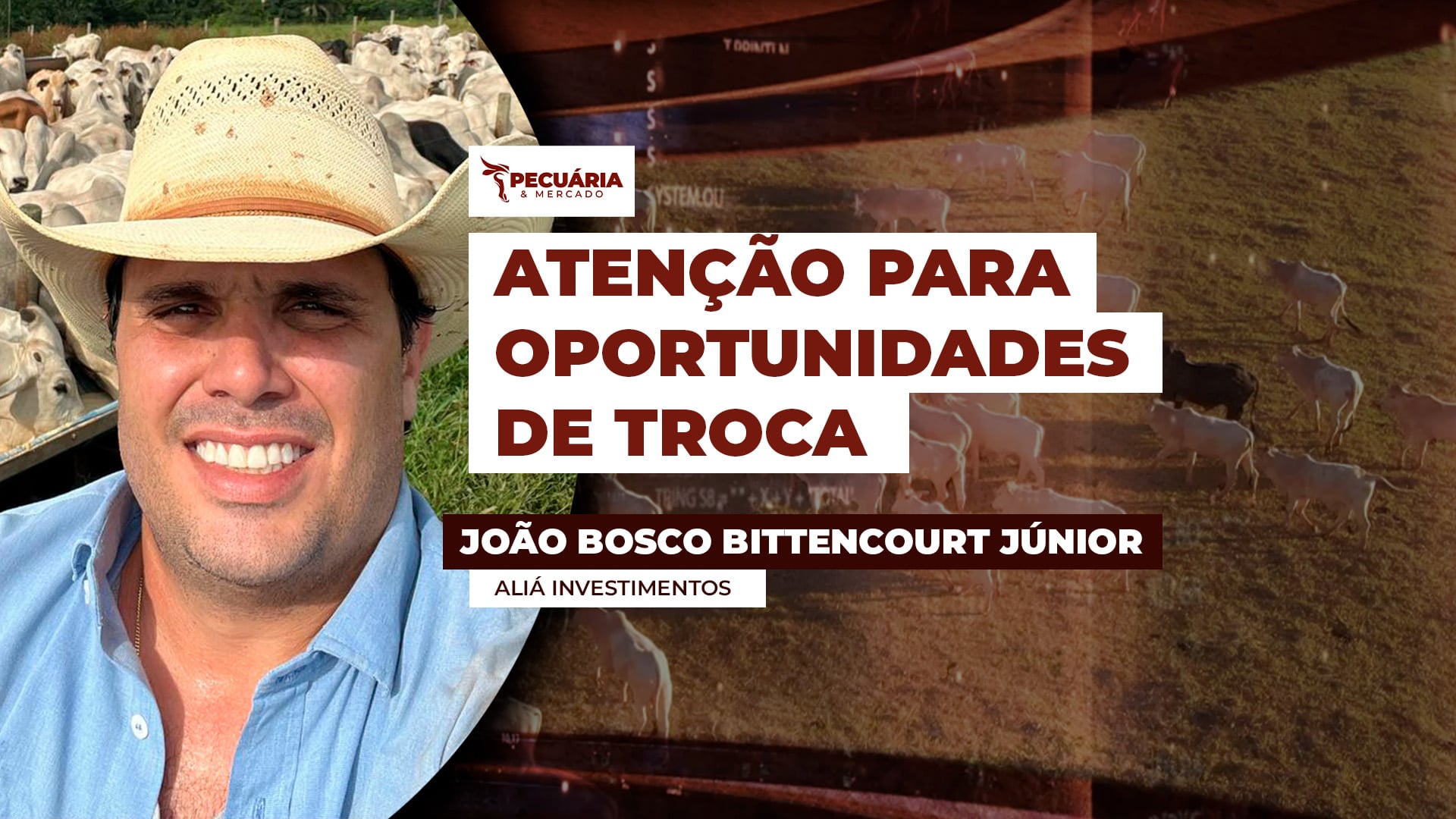 Especialista orienta para dois momentos do ano que podem ser favoráveis para quem precisa recompor o rebanho