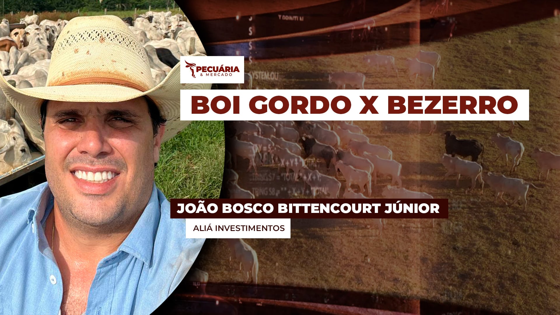 Apesar de preços recordes, relação de troca Bezerro X Boi Gordo ainda é favorável