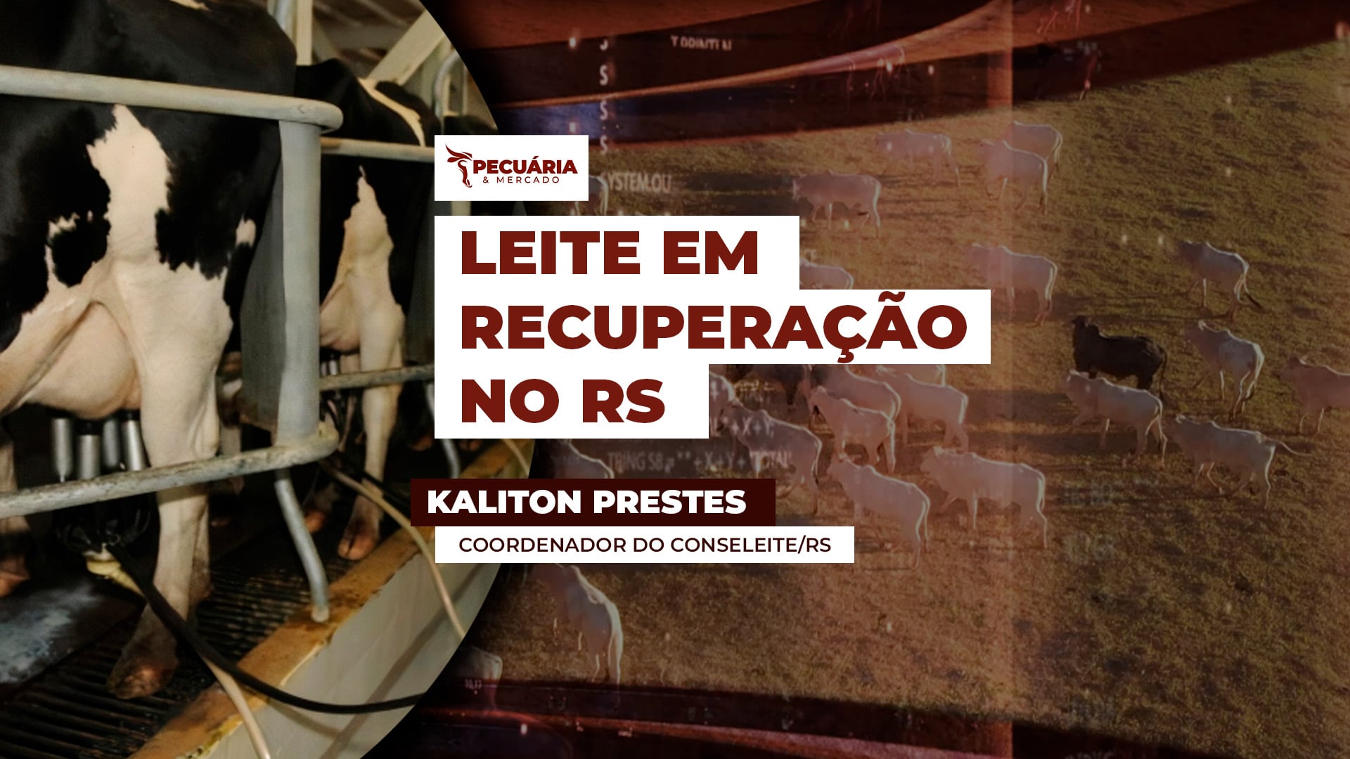 Conseleite do RS projeta alta de 10% no valor de referência para Abril com litro a R$2,53