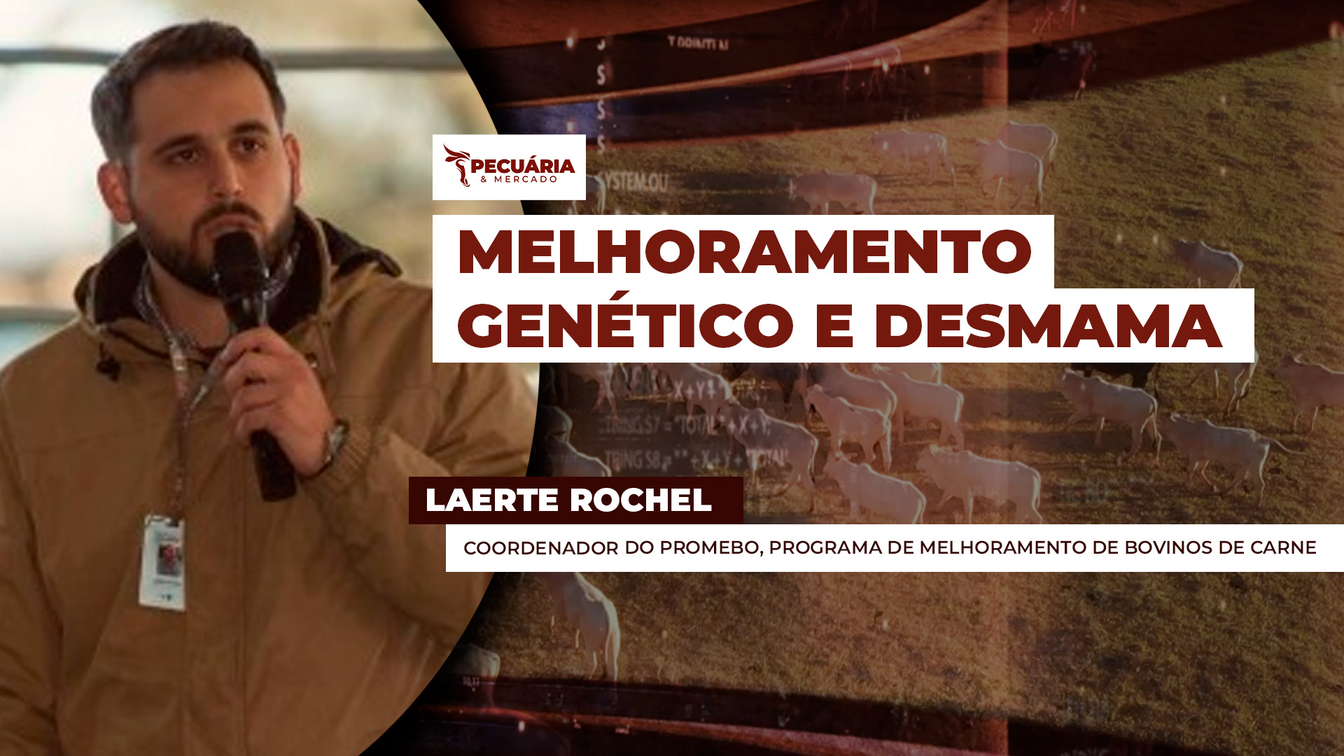 Desmama se desponta como etapa estratégica nos programas de melhoramento genético dos bovinos