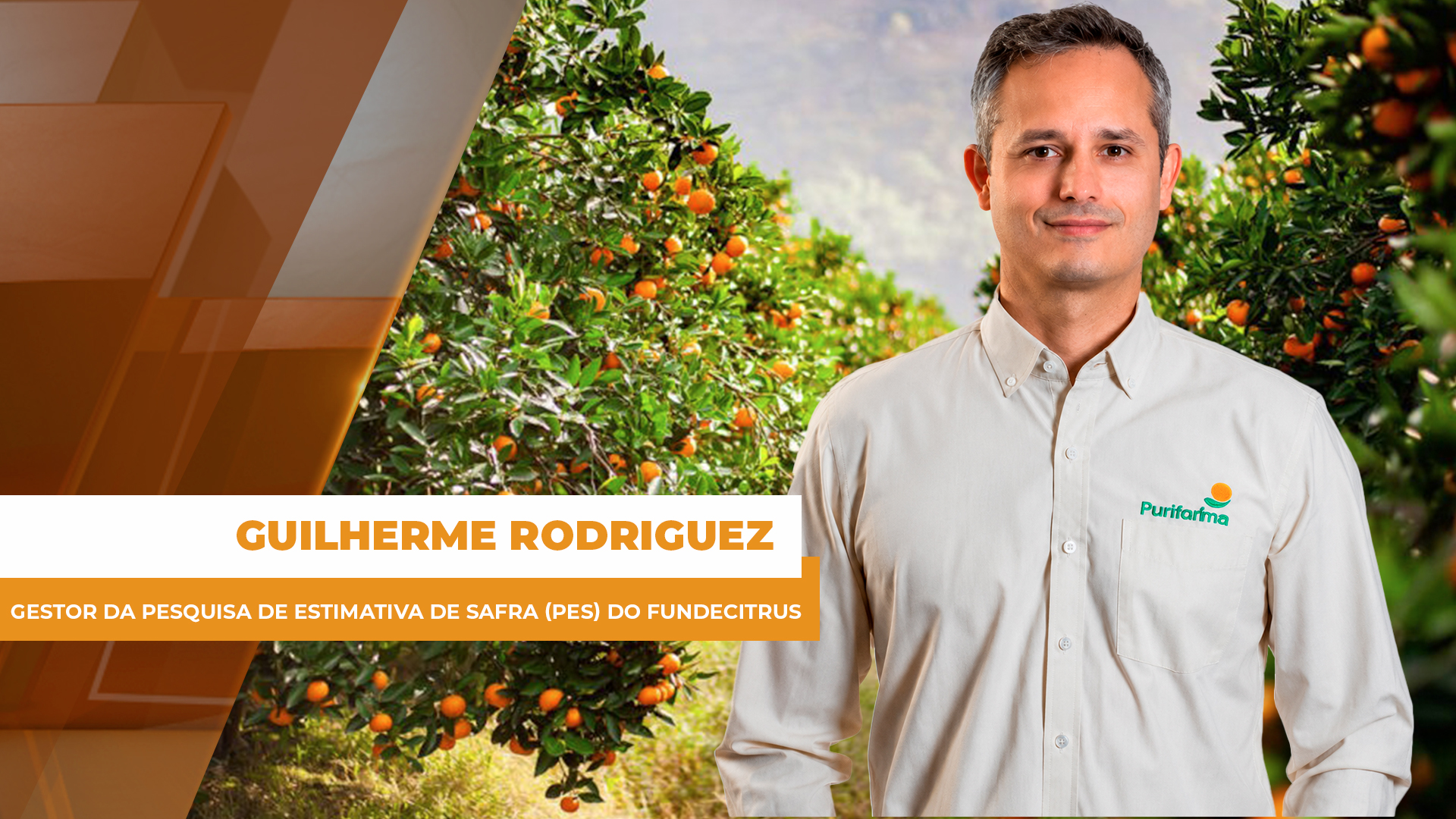 Fundecitrus estima que safra de laranja 26/27 será menor que a do ano passado