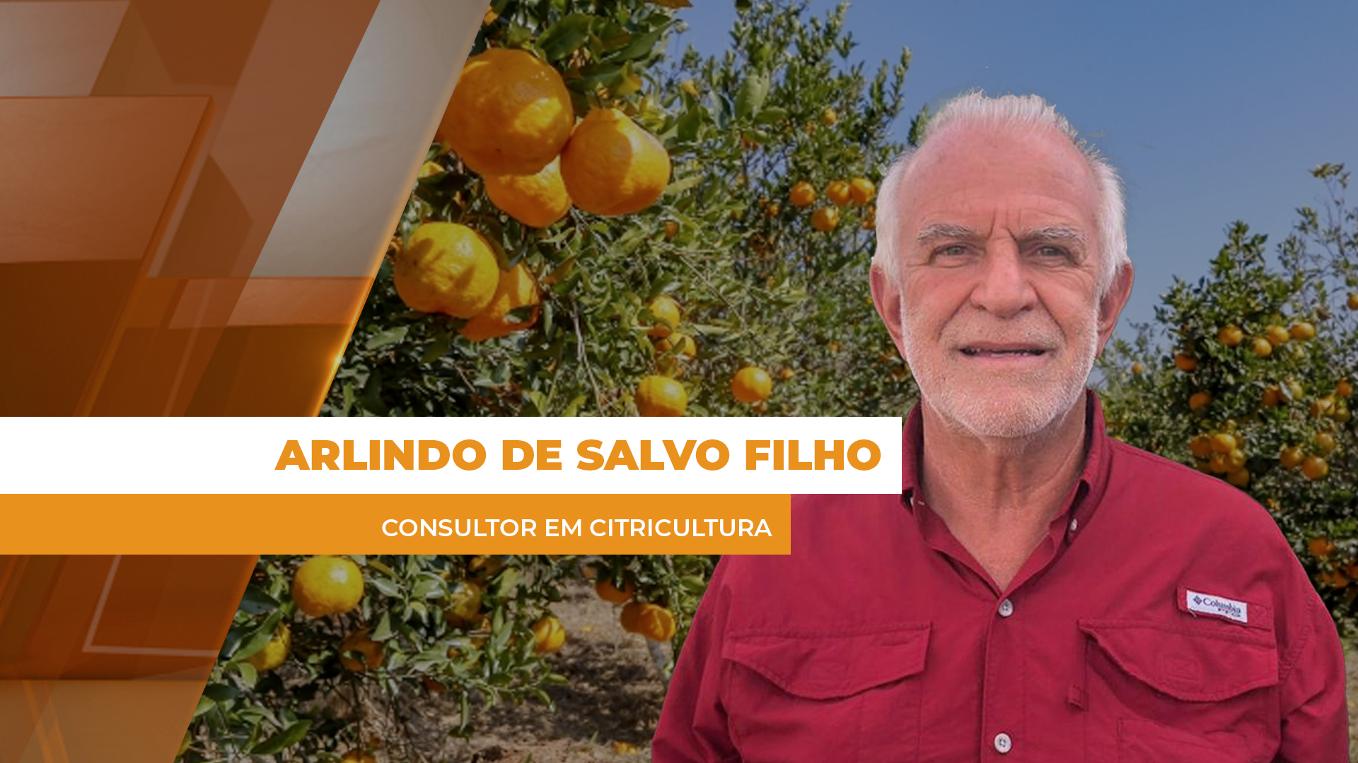 Clima seco limita produtividade dos pomares citrícolas no Brasil