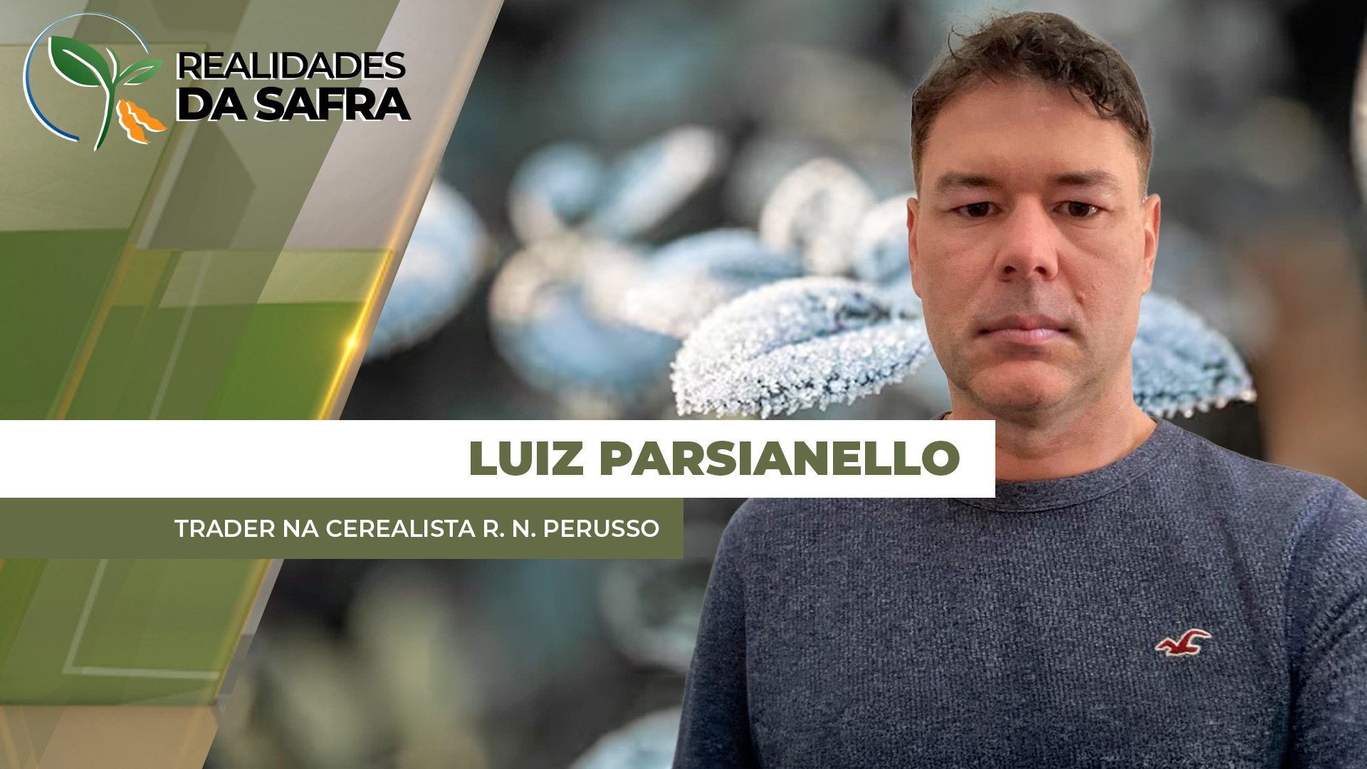 Lavouras de feijão e milho registram geadas em Pato Branco/PR