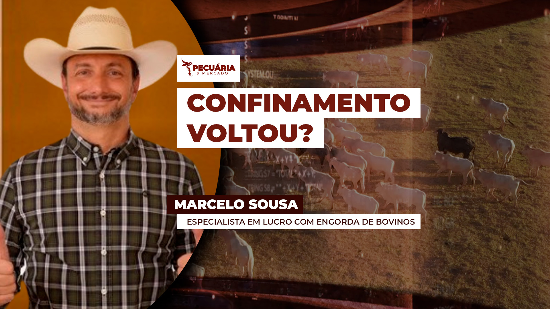 Confinamento reacende interesse dos pecuaristas neste ano?