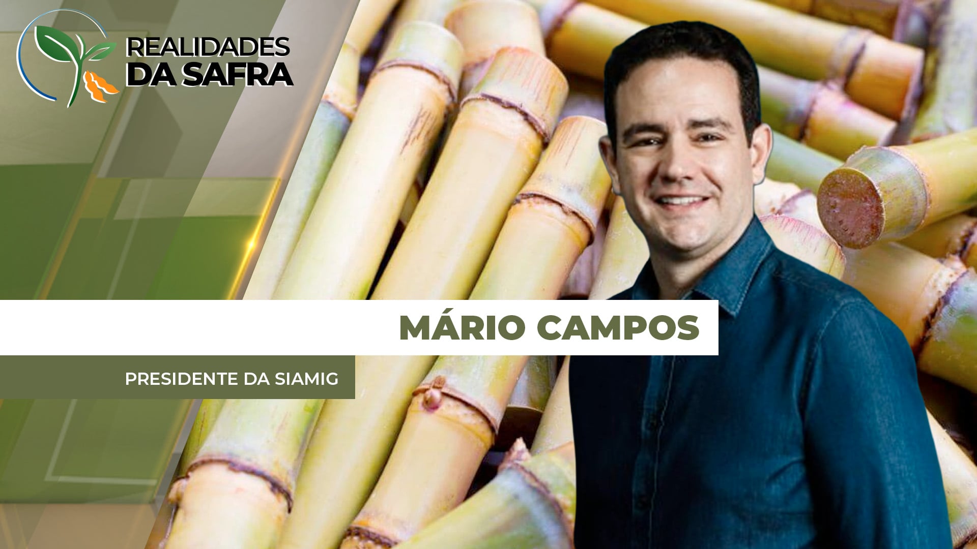 Minas Gerais começa safra 2026/27 esperando produção de cana-de-açúcar 11,6% maior