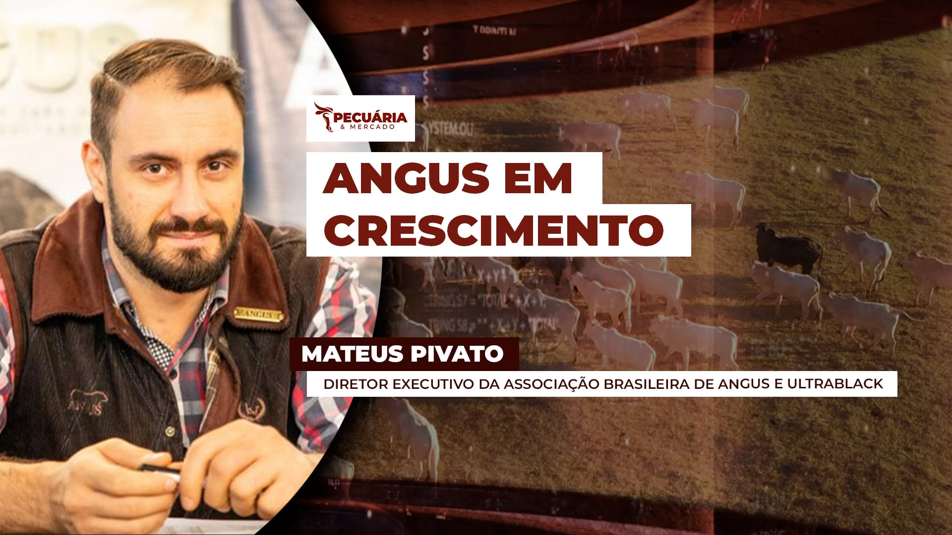 Valorização da carne de qualidade faz crescer procura por sêmen Angus no Brasil