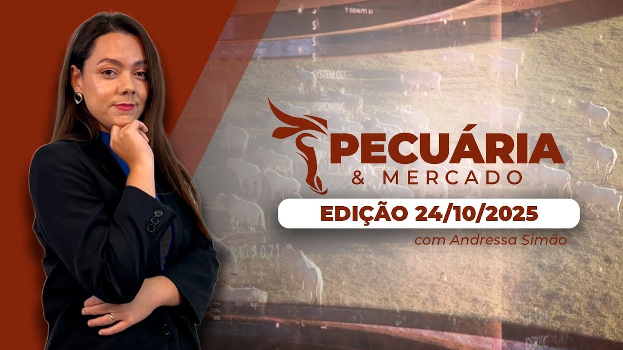 Indústria da carne registra melhores margens desde 2017 e boi brasileiro segue até 70% mais competitivo no mercado internacional