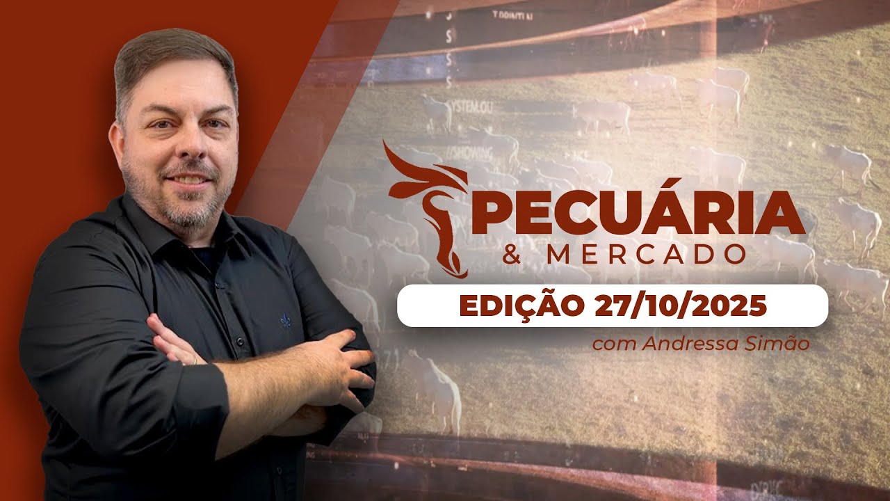 Menor oferta interna de carne e redução nos abates deve sustentar alta do boi