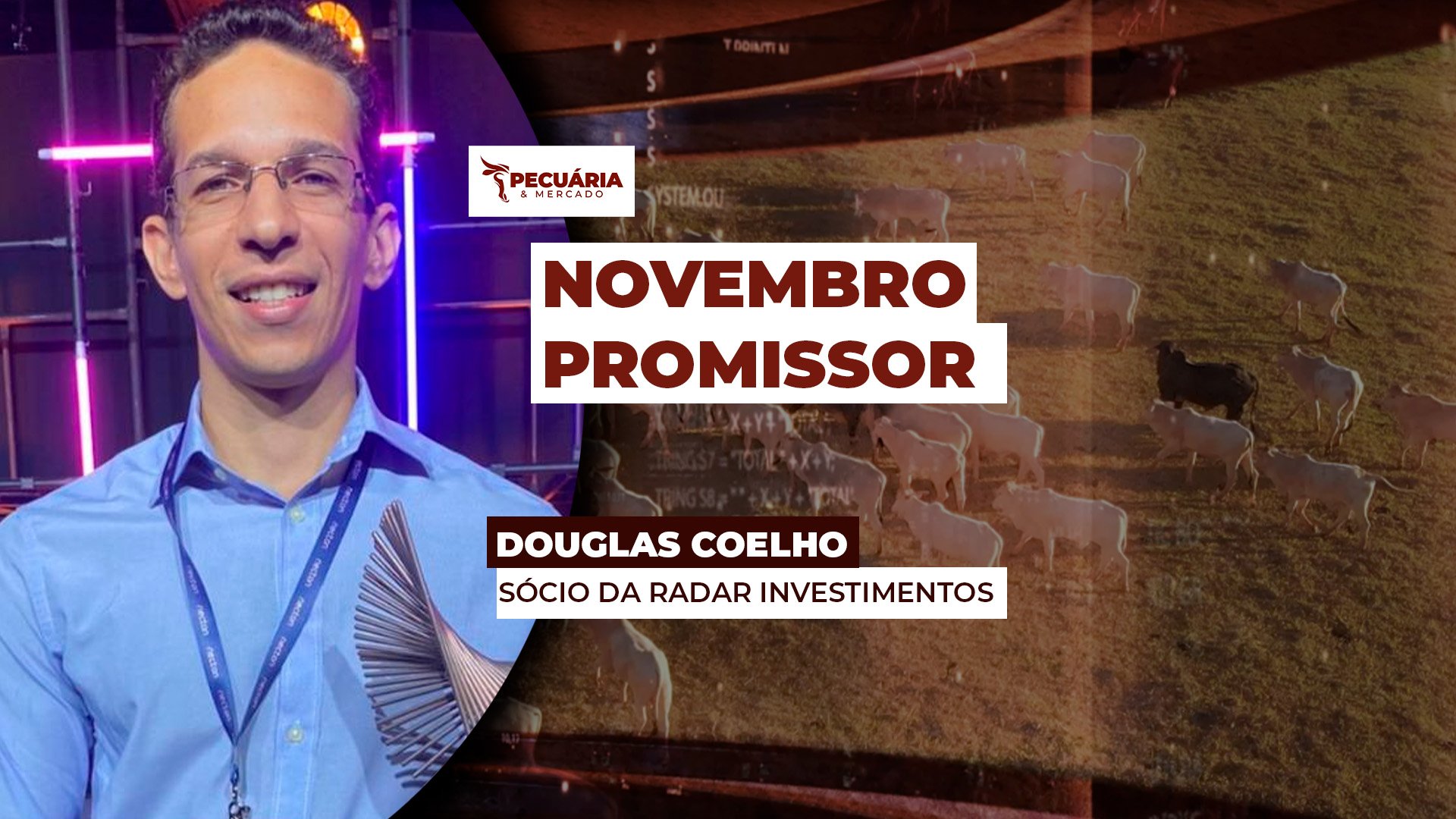 Cenário é positivo para arroba do boi ao longo de novembro