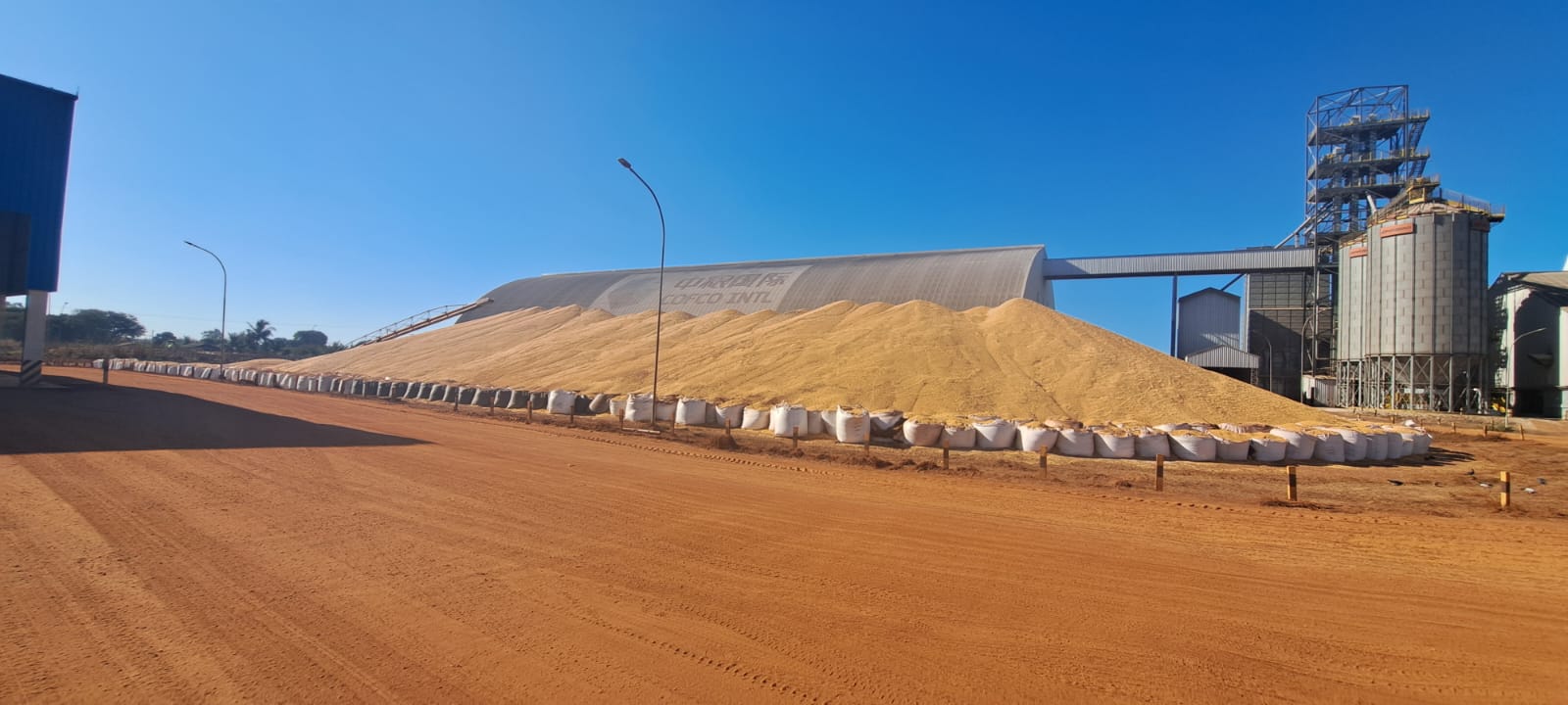 Produtividades próximas das recordes resultam em gargalos logísticos e milho a céu aberto em Mato Grosso
