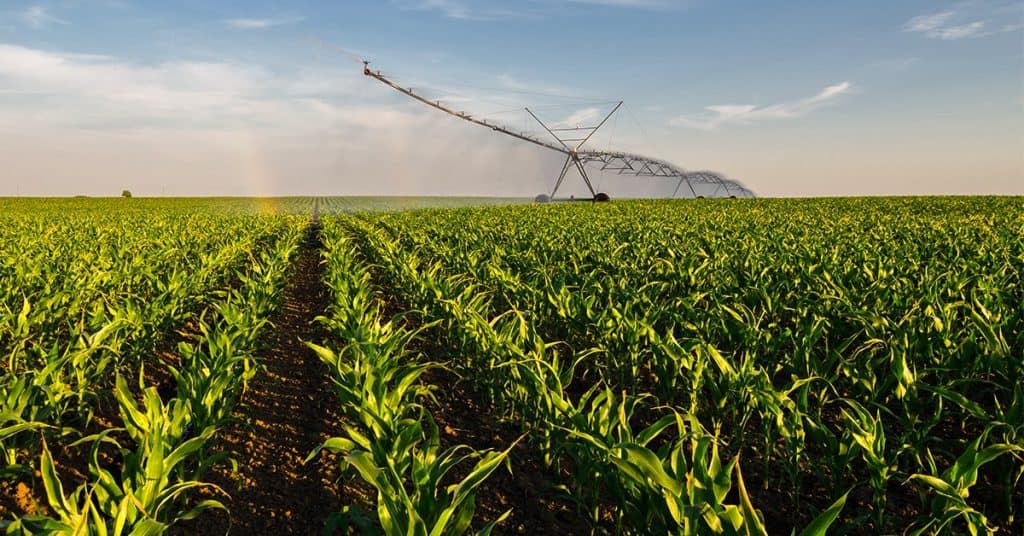 Irrigação pode ampliar produção, renda e segurança alimentar no Brasil, mas ainda esbarra em entraves regulatórios e de infraestrutura