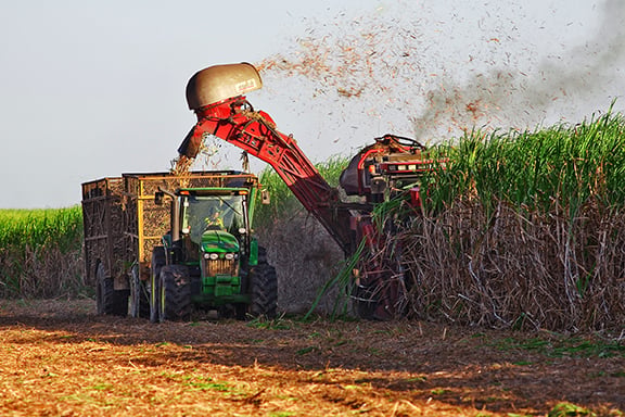 Açúcar passa por momento de alta pressão global e cenário pessimista segue sendo pessimista para os preços