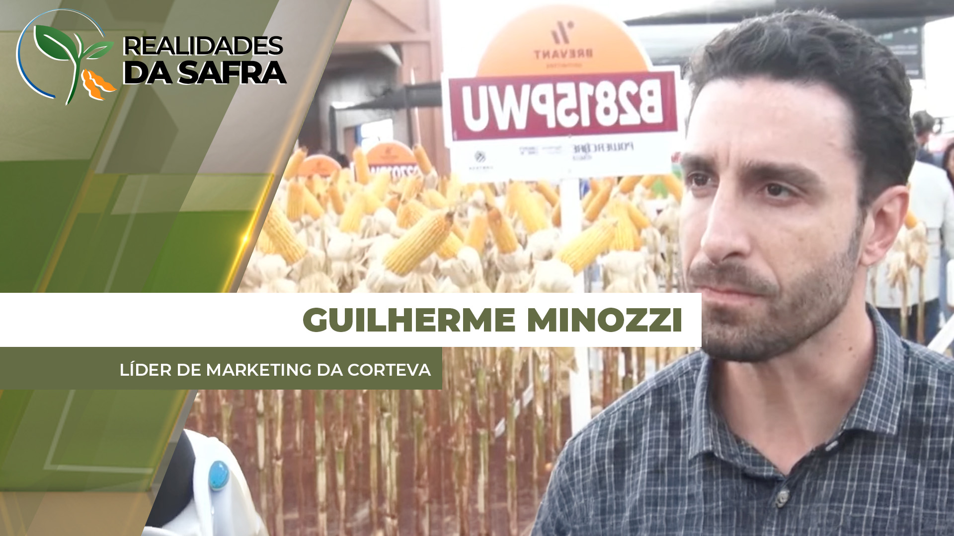 Escolha do híbrido de milho também pode ajudar no controle dos nematoides em todo o sistema produtivo