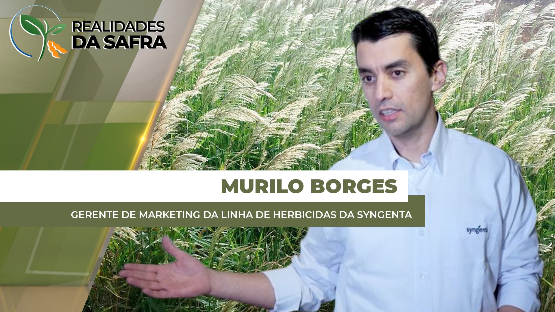 Safra 2025/26 é marcada pelo aumento de plantas daninhas como Caruru e Pé de Galinha