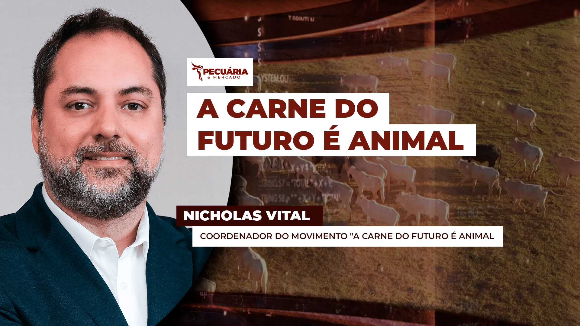 Pesquisa mostra o  que pensa o brasileiro sobre a carne bovina produzida no país