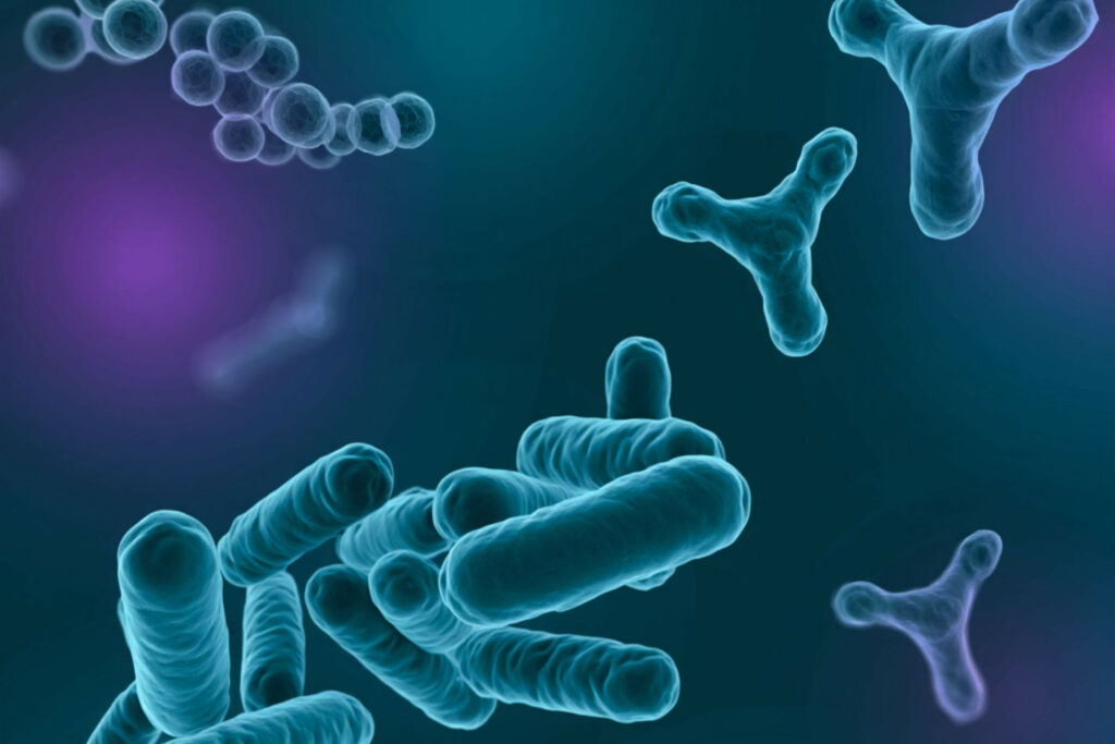 Nutrição animal: biopolímero inovador pode elevar eficácia de probióticos na produção pecuária russa