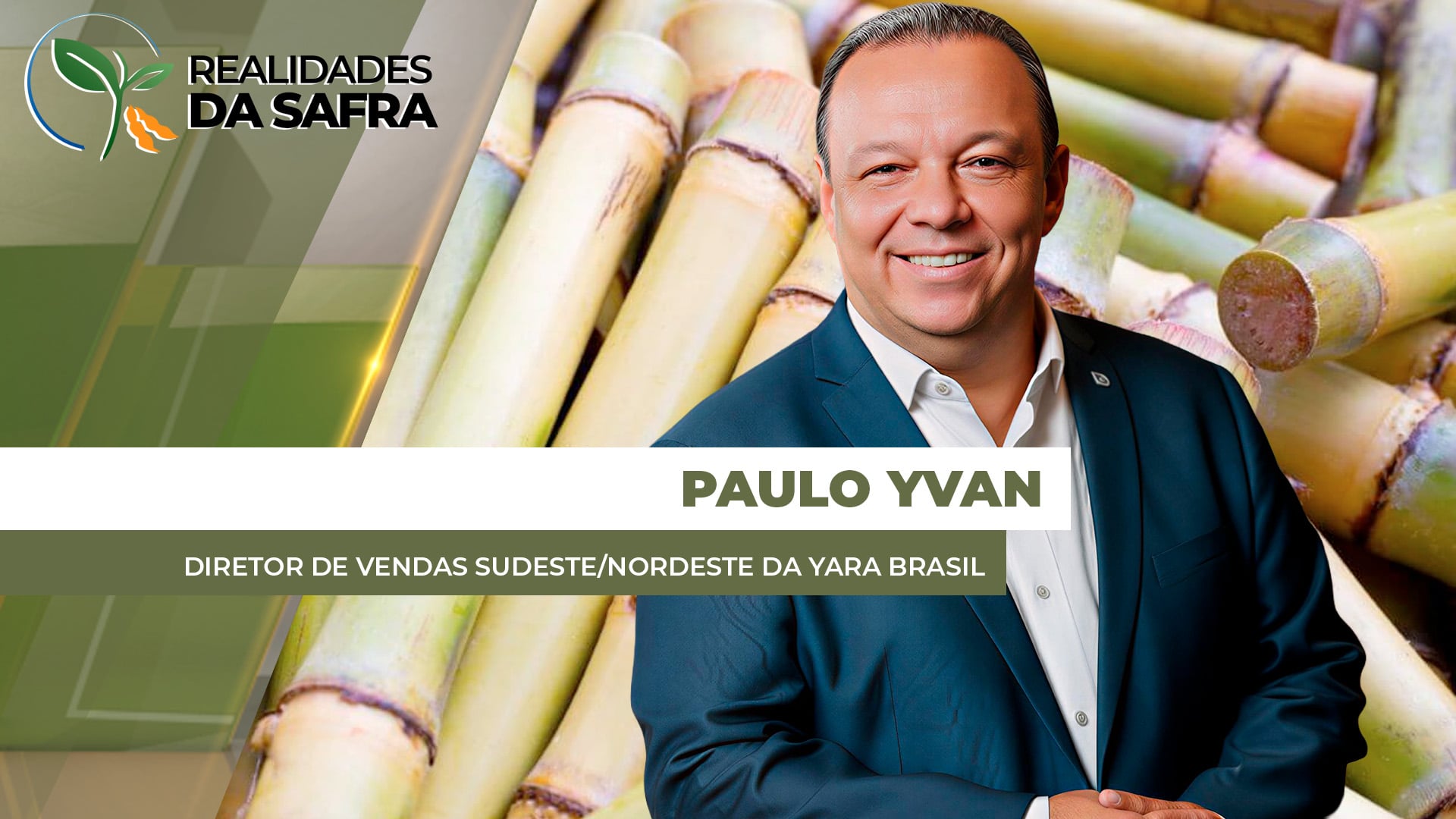 Colheita da nova safra de cana-de-açúcar começa com boas expectativas de produtividade