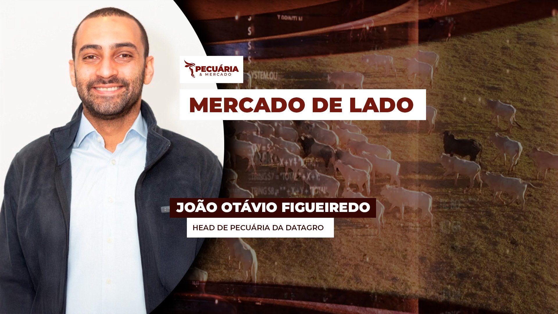 Tranquilidade nas compras com alongamento das escalas nos frigoríficos e consumo interno abaixo do esperado limitam alta da arroba