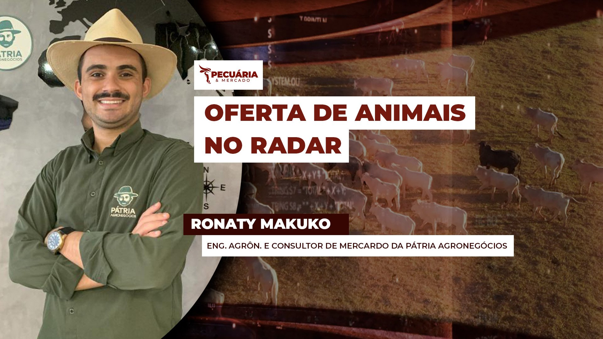 Oferta de animais é o principal fator para destravar movimento de alta da arroba