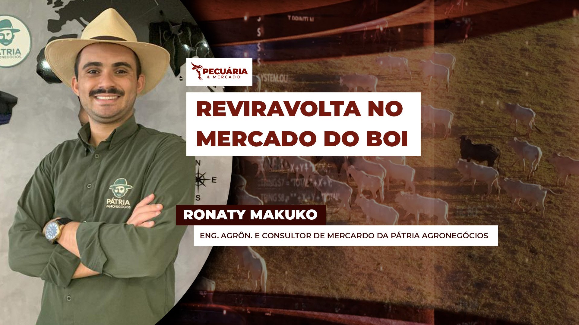 Pressão sobre arroba vem de uma oferta concentrada de animais agora em setembro, cenário muda nos próximos meses