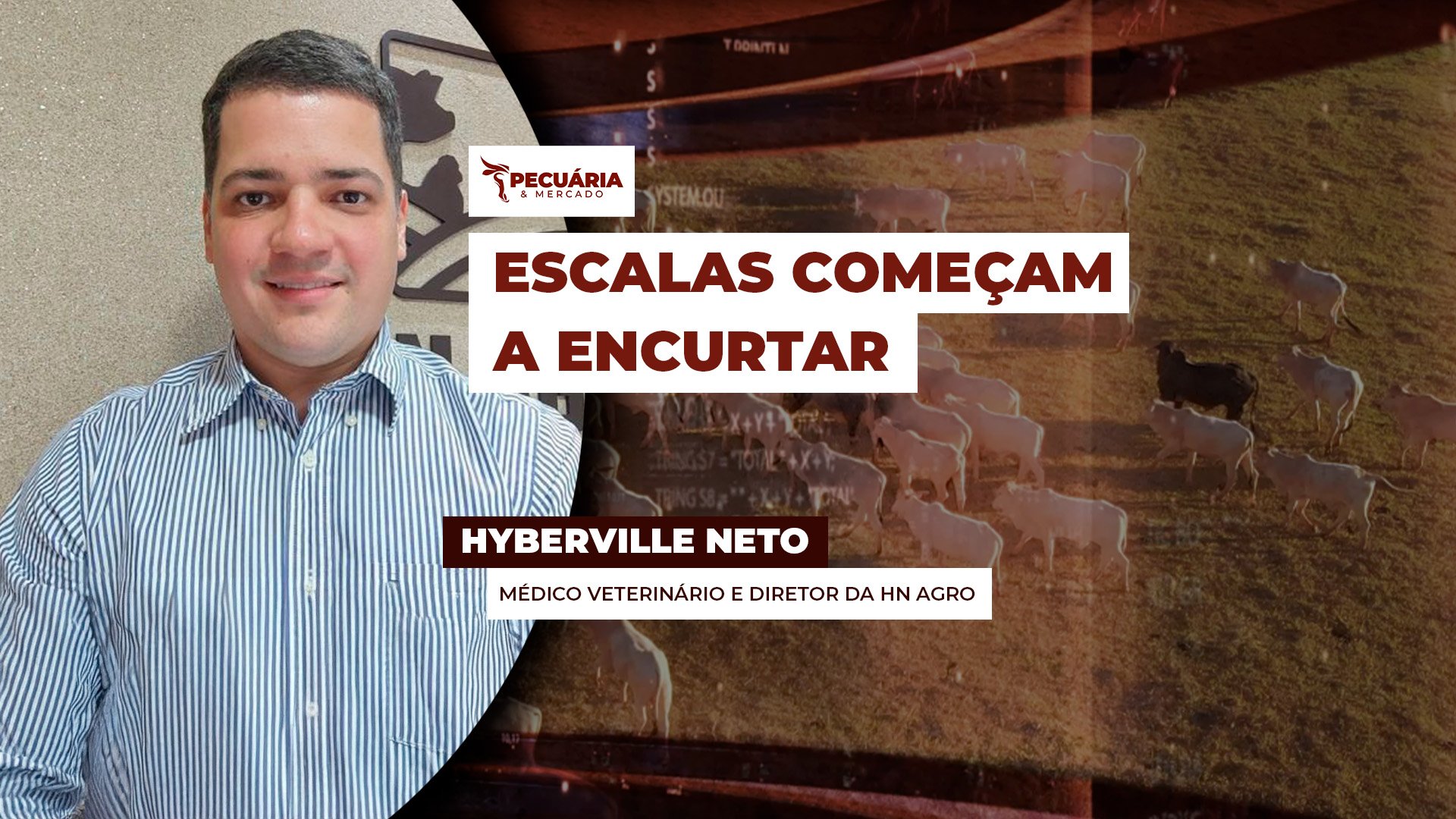 Frigoríficos podem acelerar as compras após recuo nas escalas de abate em regiões importantes de produção, inclusive em SP