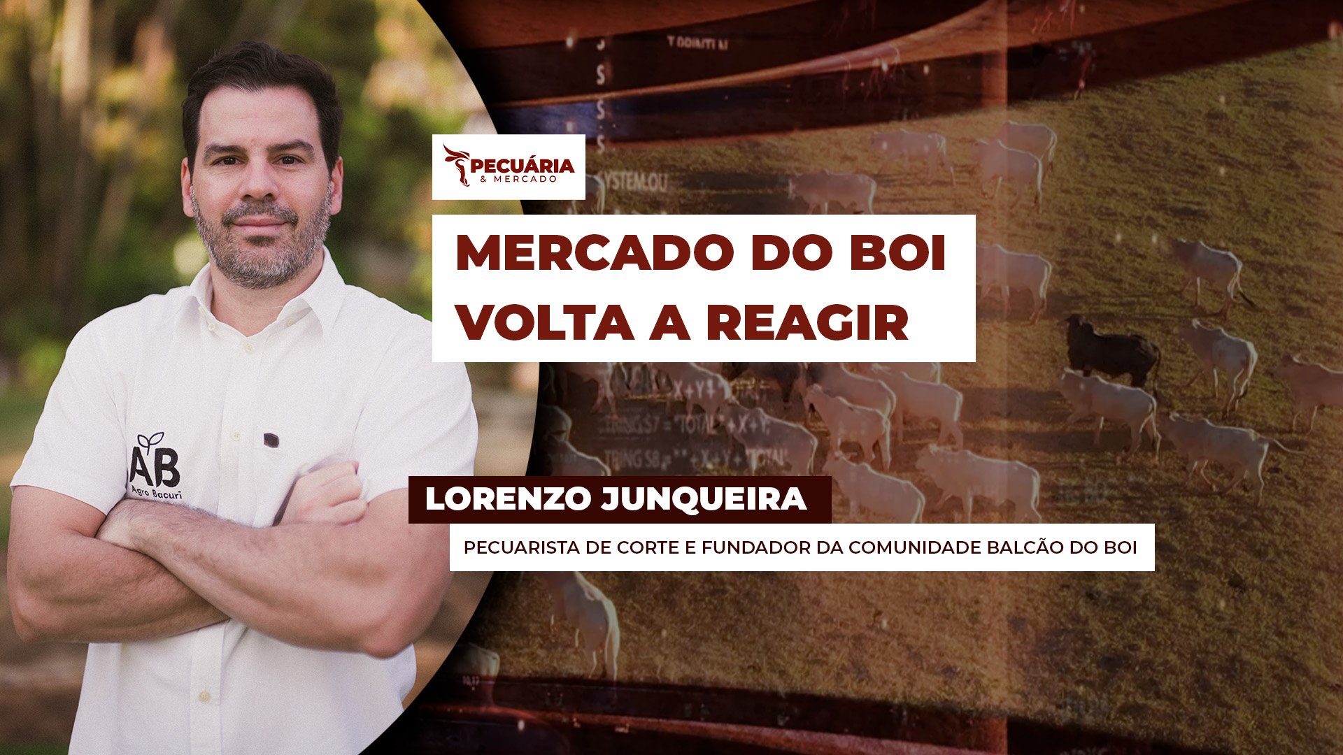 Mercado do boi gordo reage com alta na B3 e expectativa de novos recordes de exportação