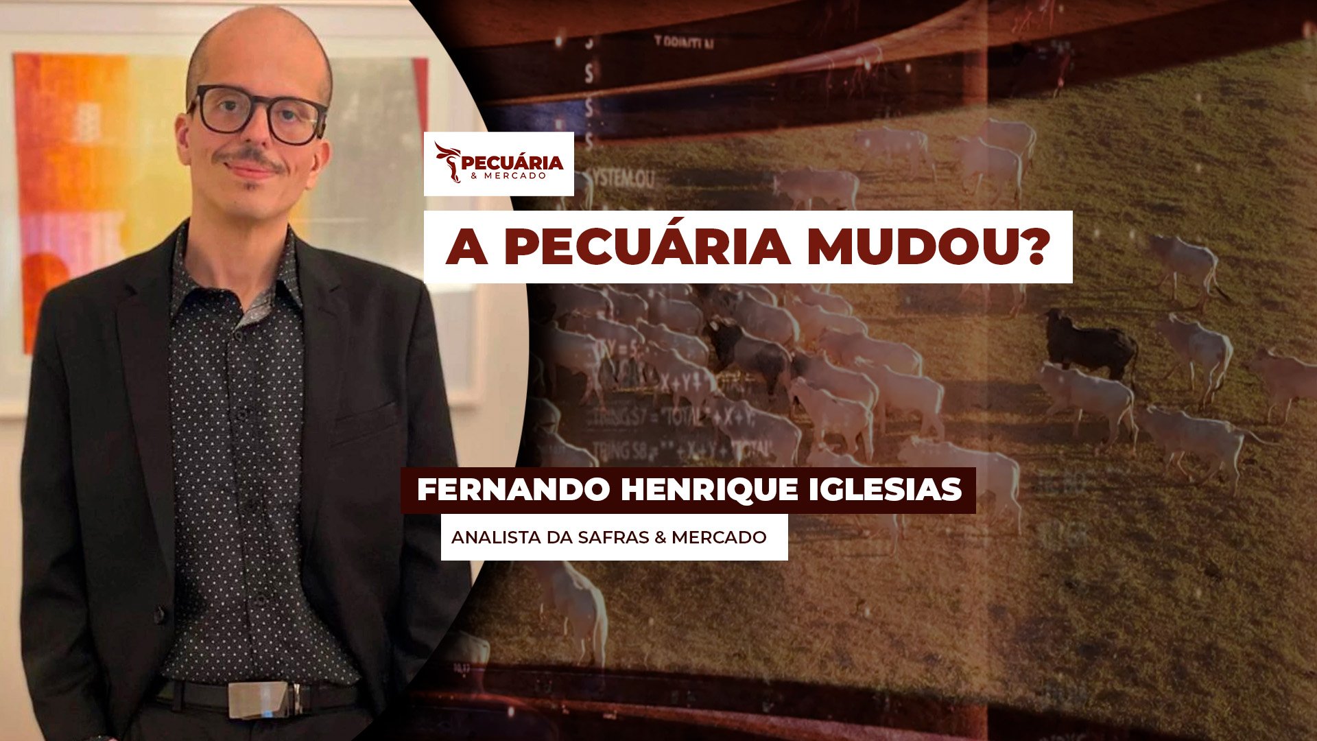 A nova forma de produzir e comercializar na pecuária brasileira