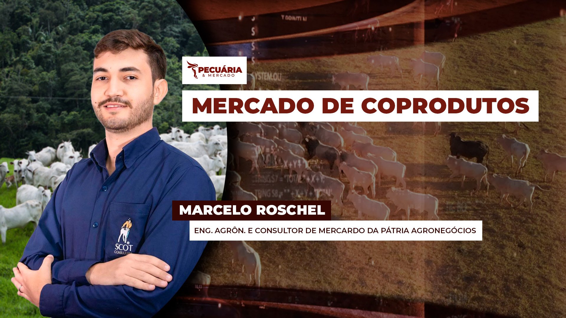 Uso do sebo para produção de biocombustível tem tornado produto brasileiro atrativo e estimulado exportações