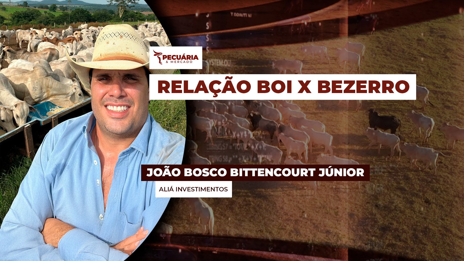 A relação de troca com bezerros piorou para o invernista , mas ainda é possível fazer bons negócios