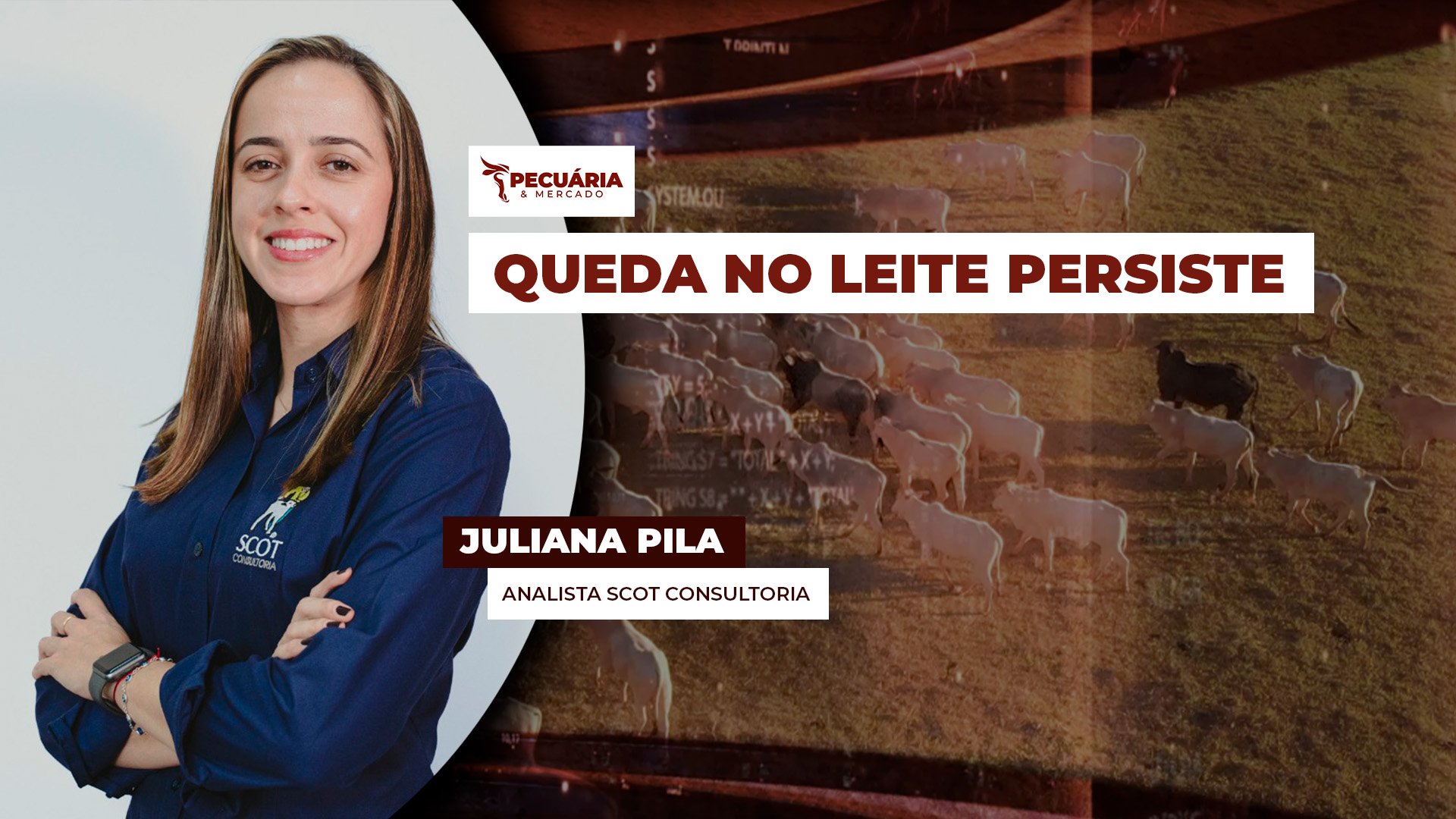 Custo menor de produção ajuda nas margens do leite, mas preços ao produtor devem seguir em queda