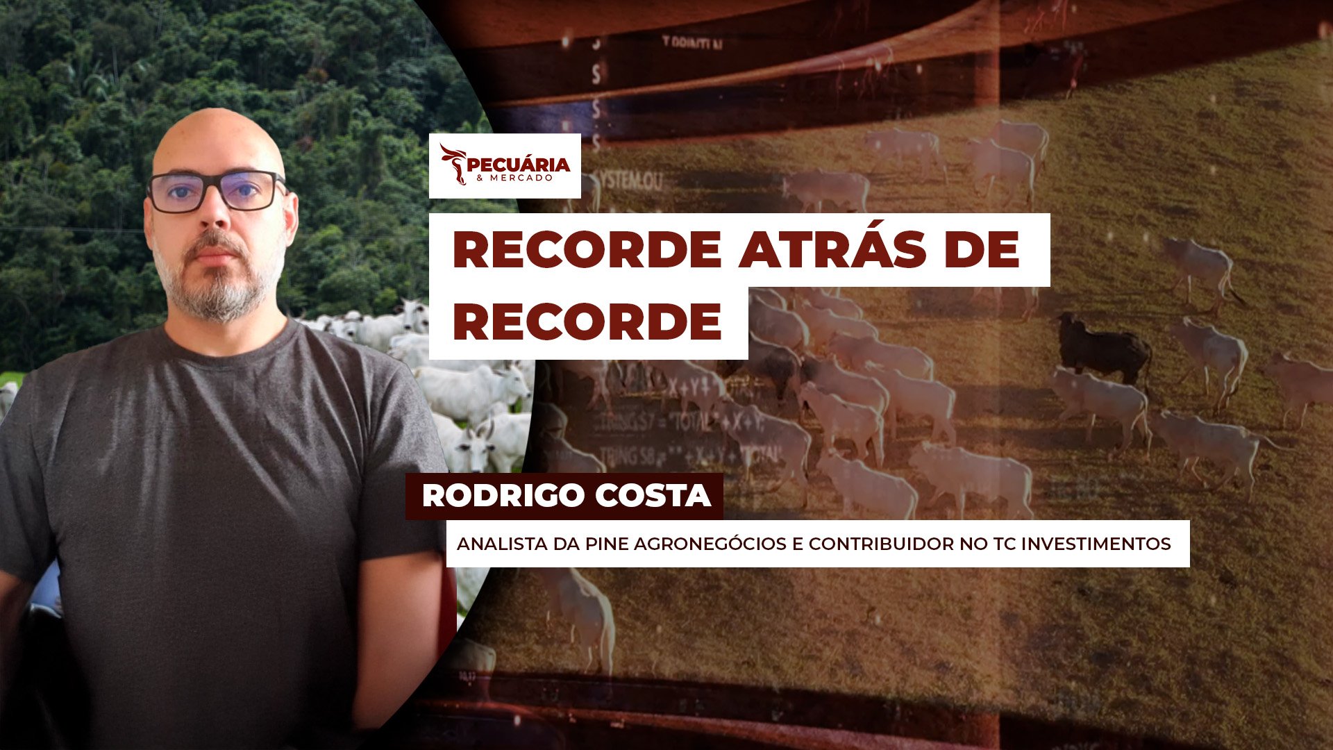 Exportações de carne bovina batem novo recorde em Setembro com China liderando as compras
