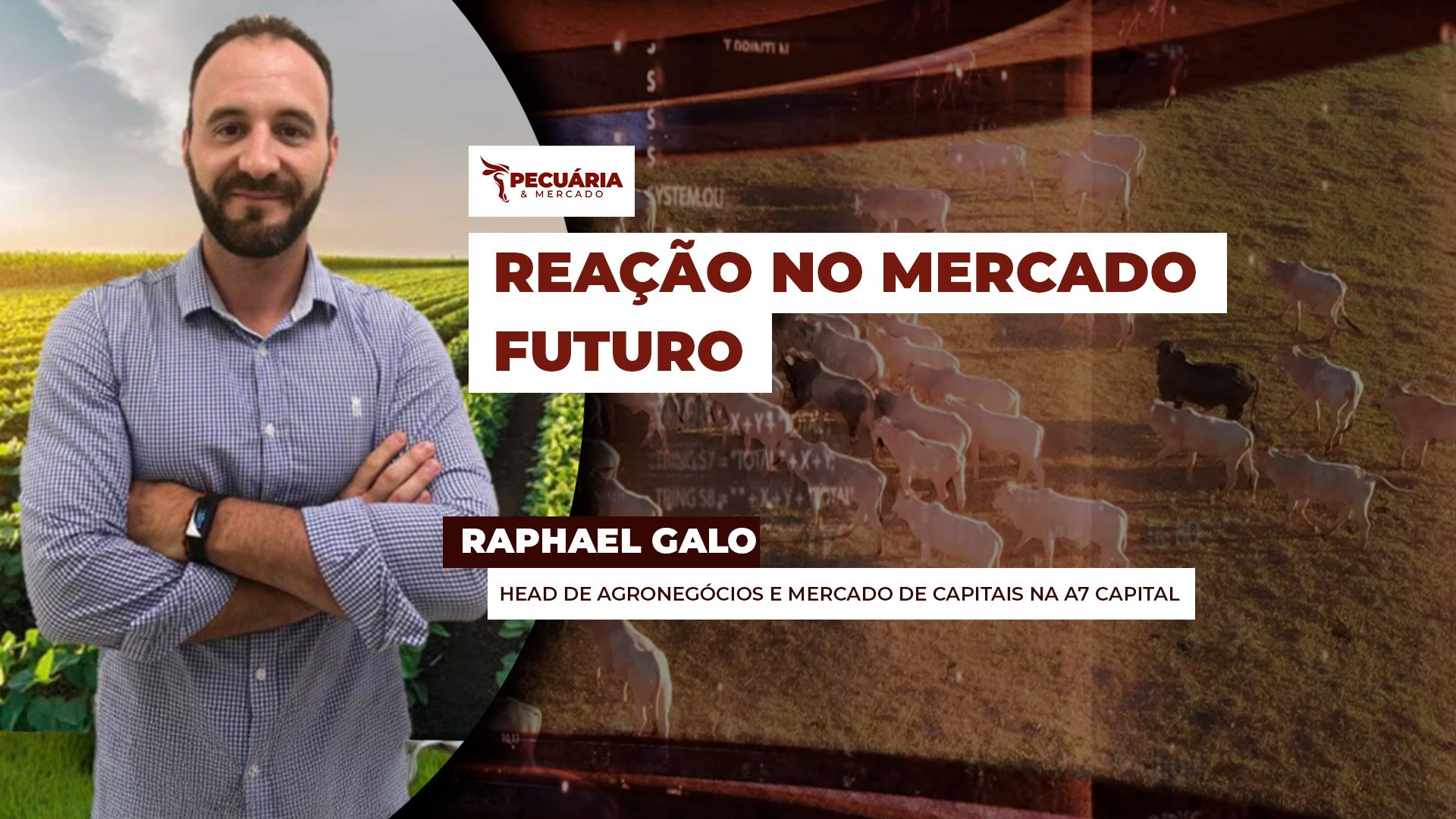 Tendência de alta está se configurando para o boi na B3, mas preços não devem alcançar patamar estimado no  primeiro semestre