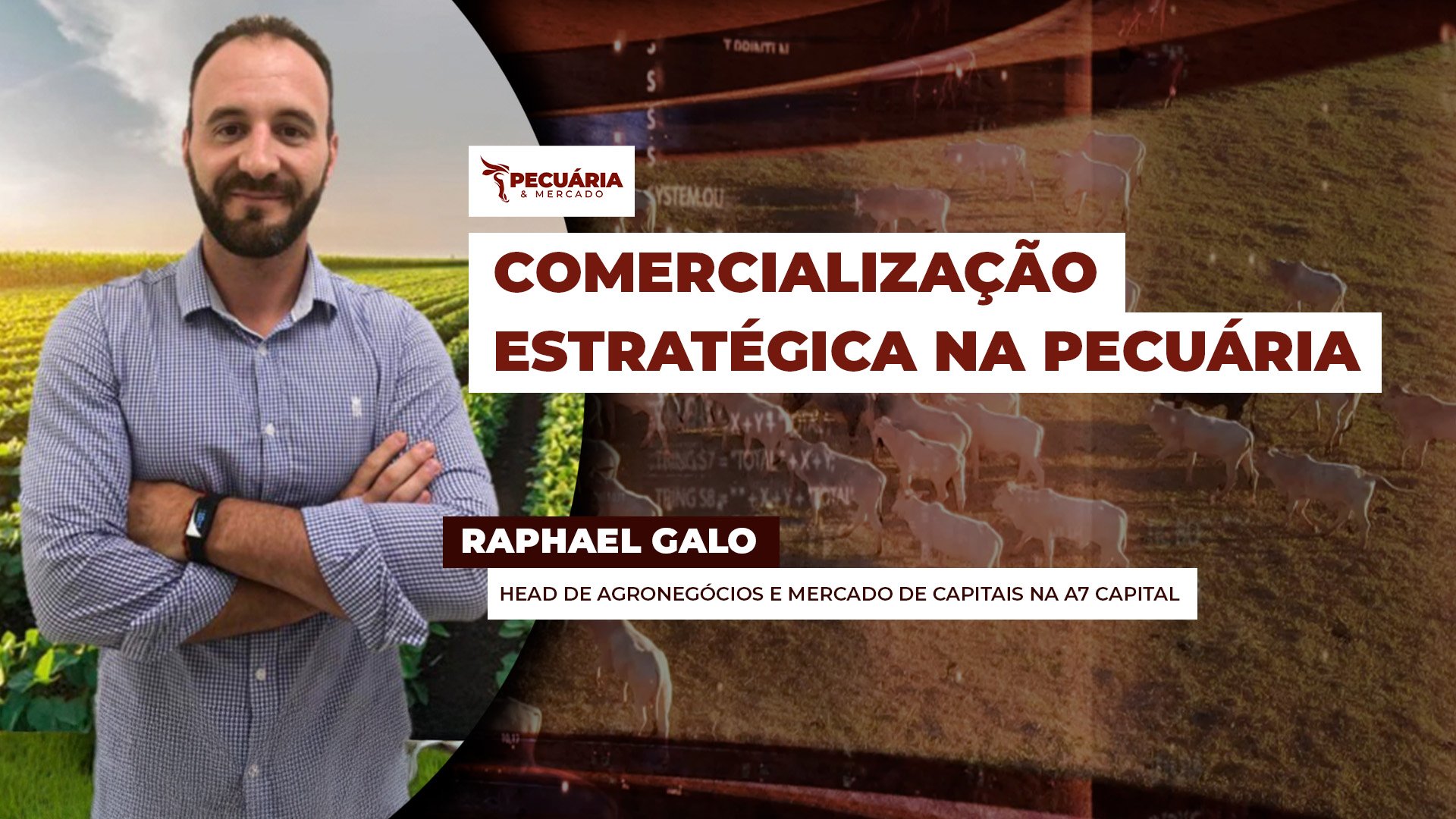 Comercialização segue como desafio para pecuarista brasileiro que ainda não domina ferramentas de proteção dos preços