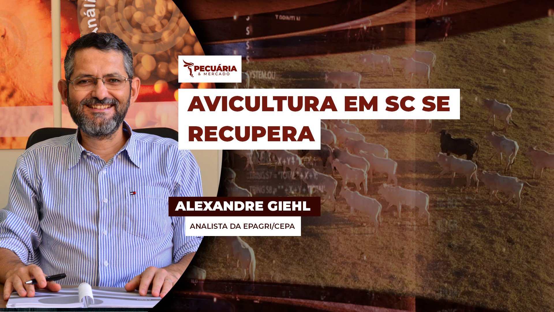 Avicultura Catarinense se recupera de crise pós gripe aviária no RS, com exportações já reestabelecidas