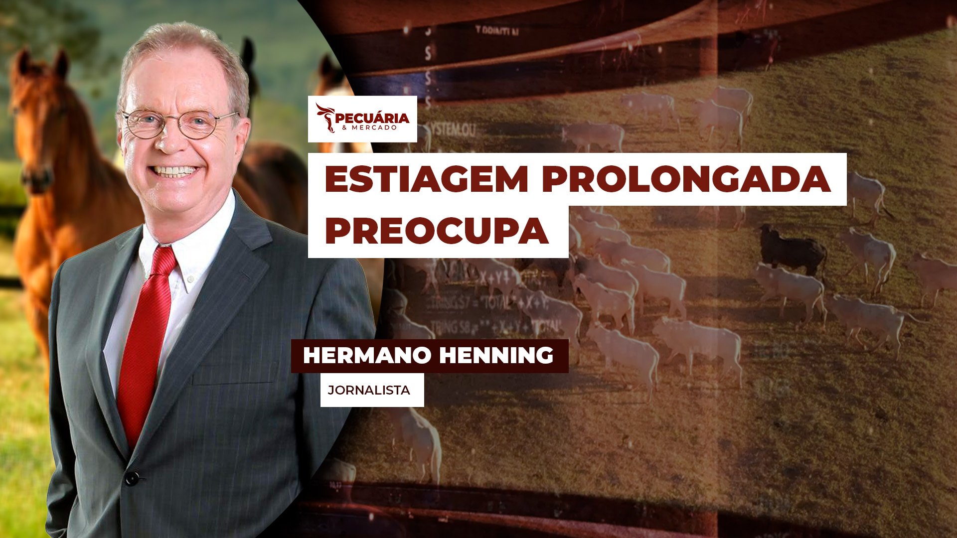 Estiagem prolongada restringe água e eleva custo nos Haras do interior de SP