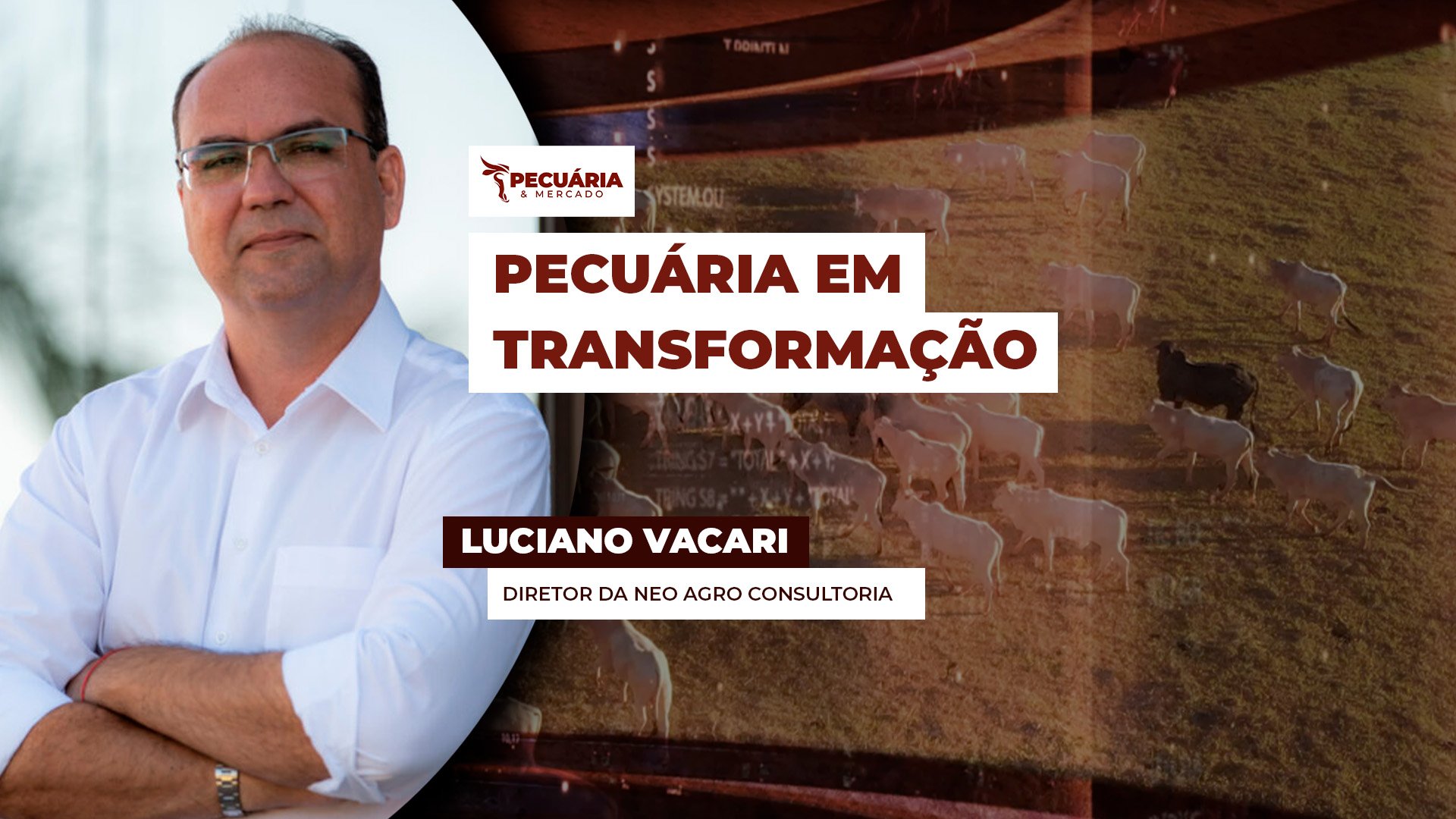 Perfil de produção da pecuária brasileira está mudando e pecuarista precisa participar dessa evolução