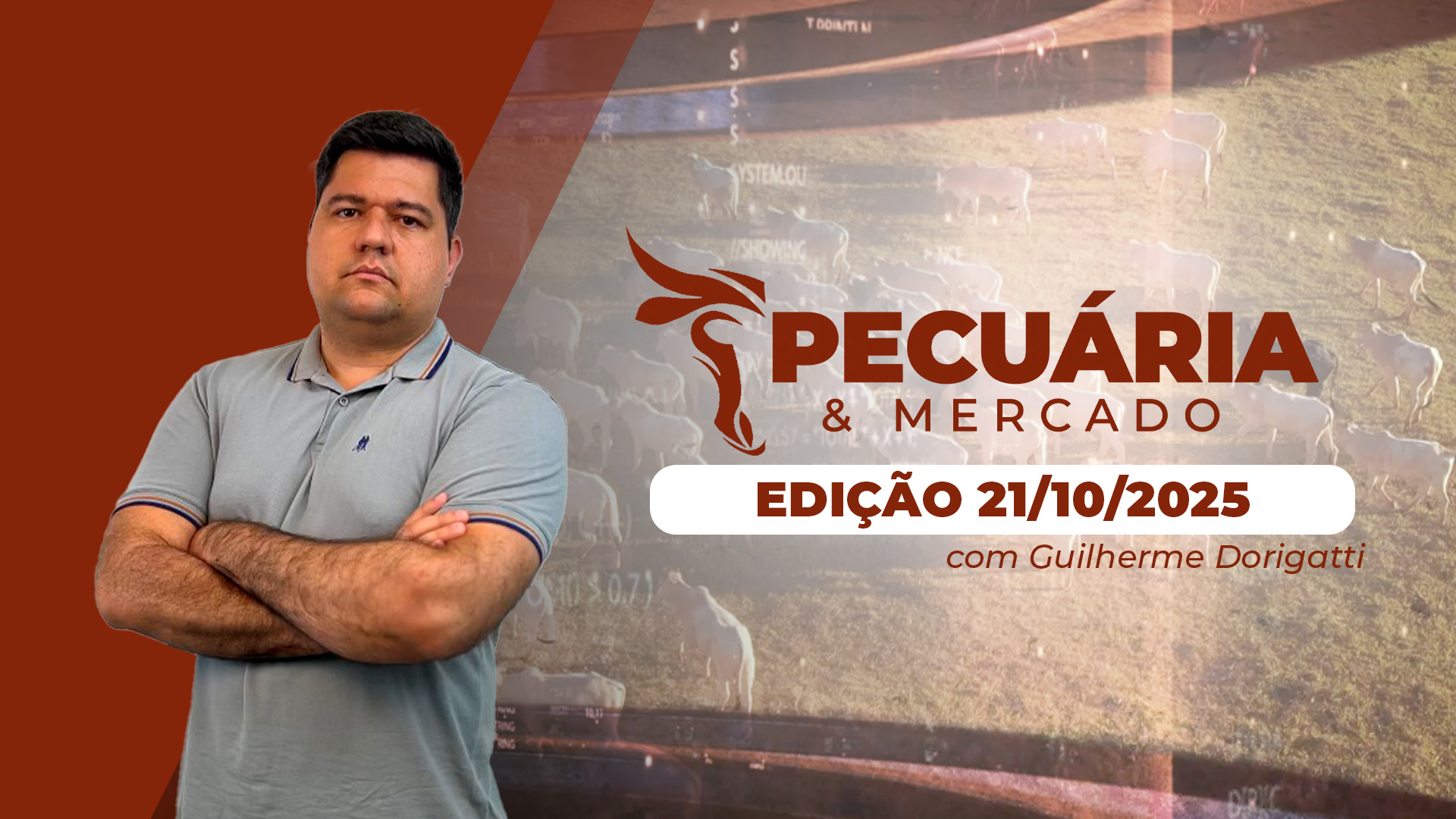 Indicadores do boi entre R$ 307,00 e R$ 311,00 e preços futuros no campo misto da B3