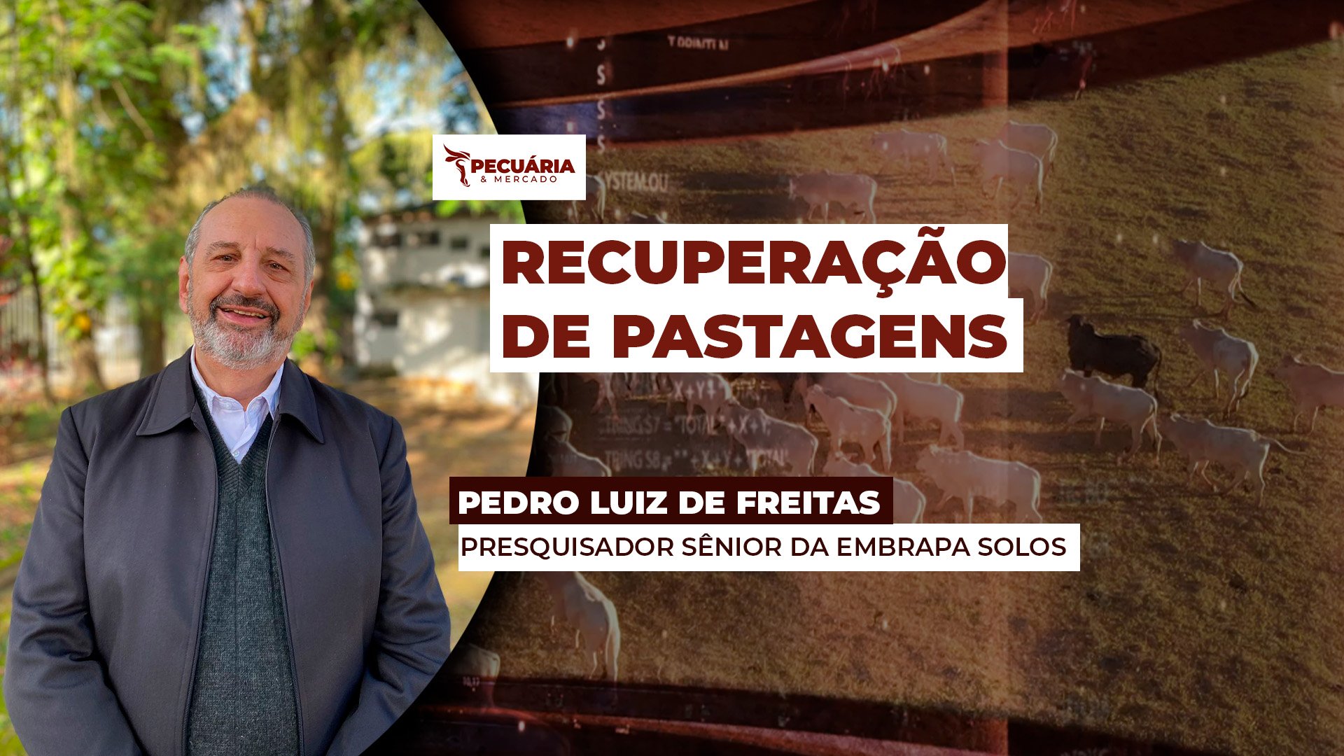 Case na COP 30 , recuperação de pastagens degradas é saída ambiental, econômica e social para o Agro Case na COP 30 , recuperação de pastagens degradas é saída ambiental, econômica e social para o Agro