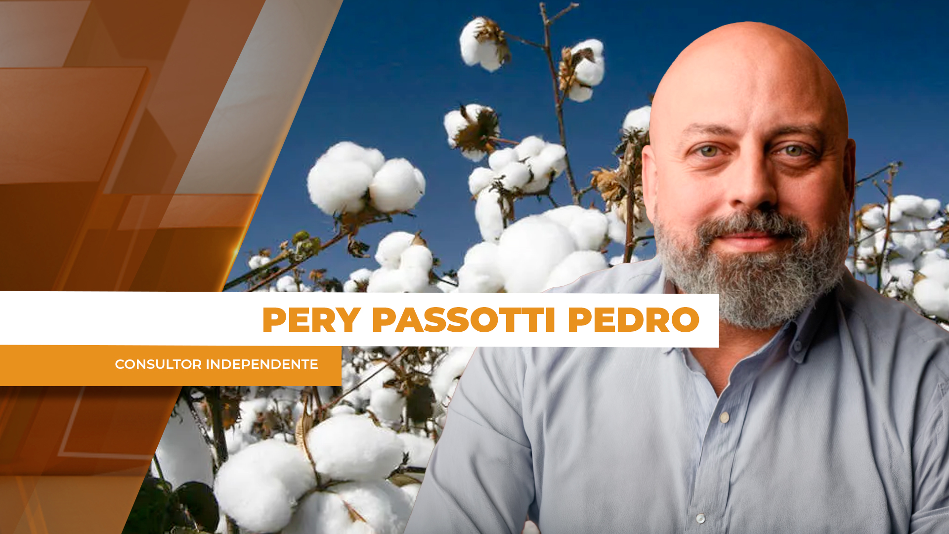 Algodão recua após valorização intensa, mas mercado futuro permanece atrativo em NY