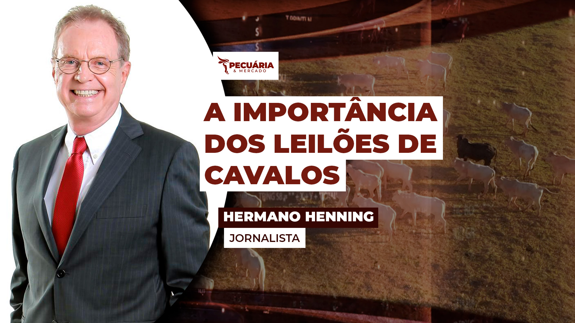 Maior parte da aquisição de cavalos acontece por leilões, mas virtuais atualmente