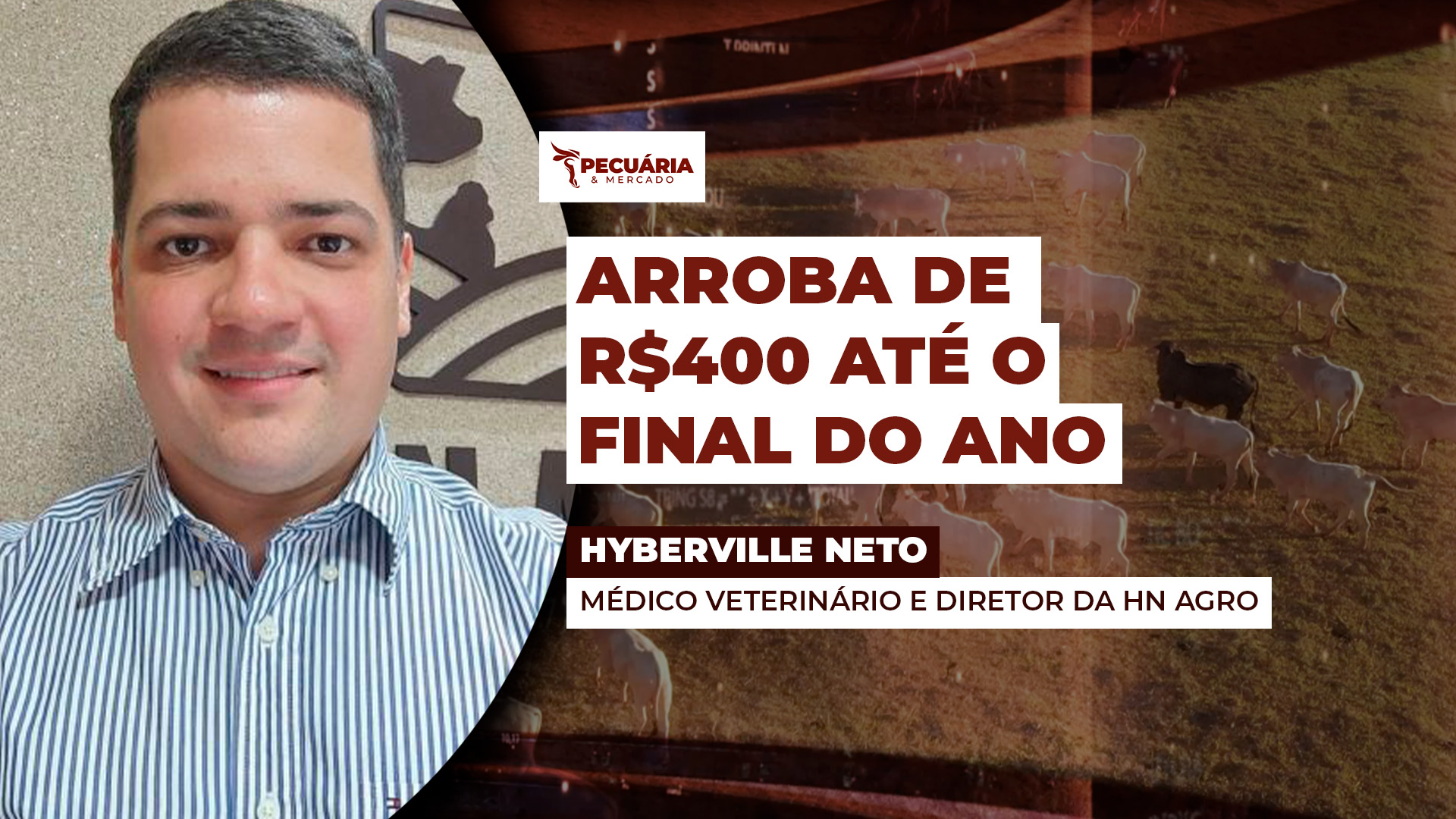Projeções da HN Agro apontam para arroba de R$390 no final do ano; cenário mais otimista chega aos R$470