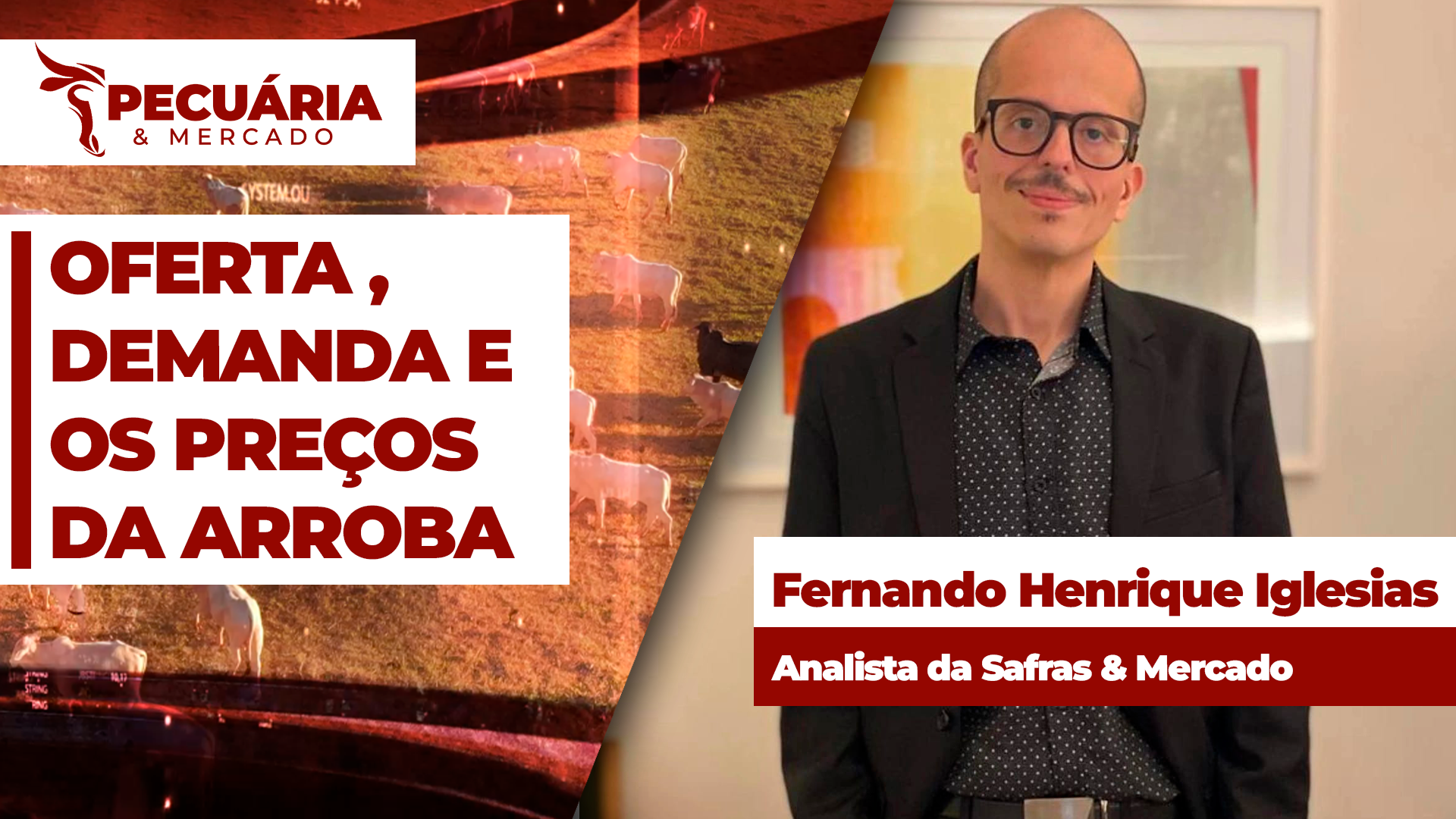Redução das compras chinesas foi compensada pelo menor abate de animais em julho episode artwork