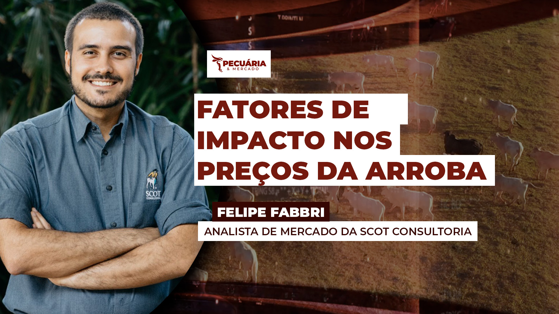 Ritmo das compras chinesas, demanda americana, ano eleitoral e oferta contida são peças essenciais no jogo da pecuária